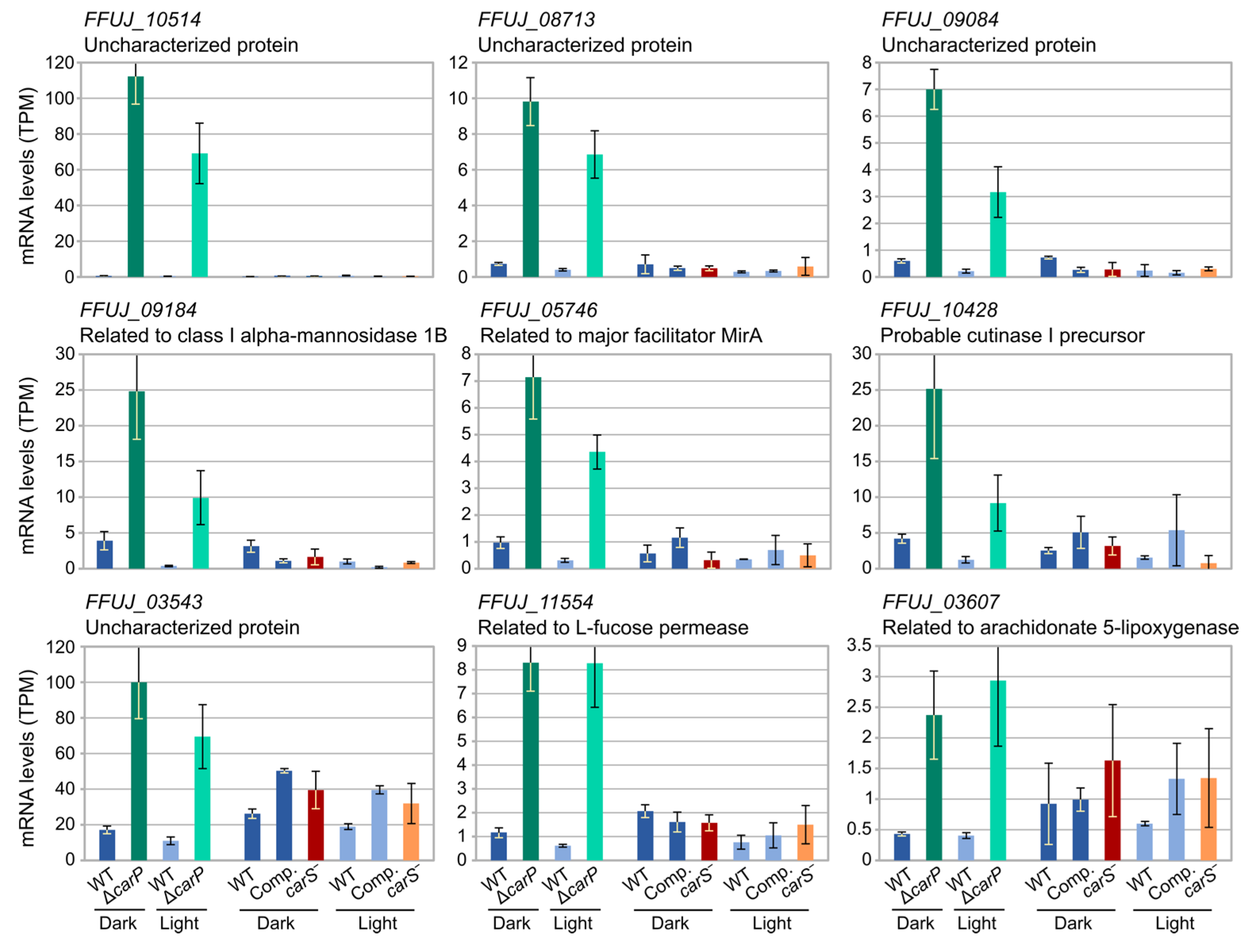 Ncrna 07 00046 g009 550