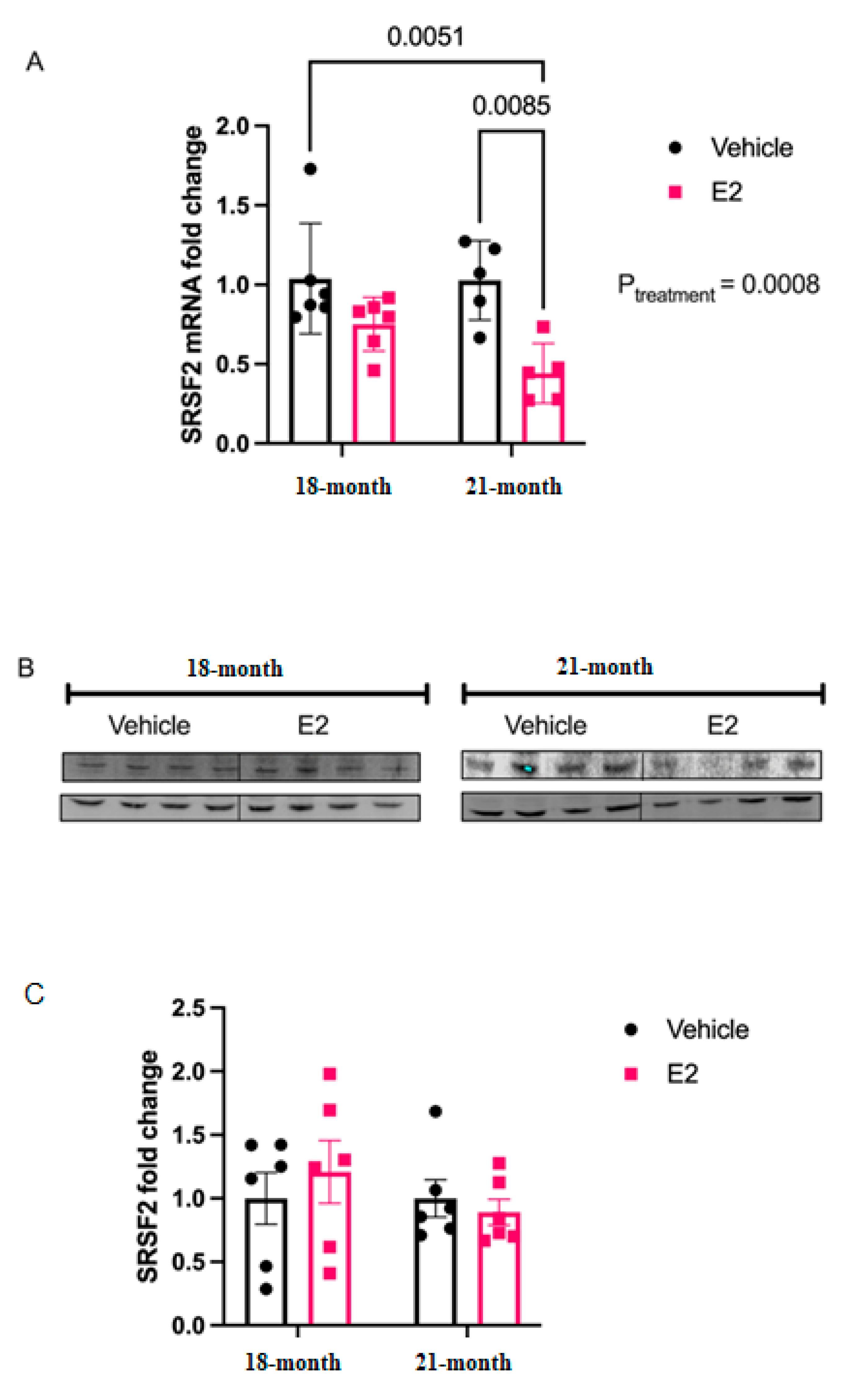 Ncrna 07 00053 g008 550