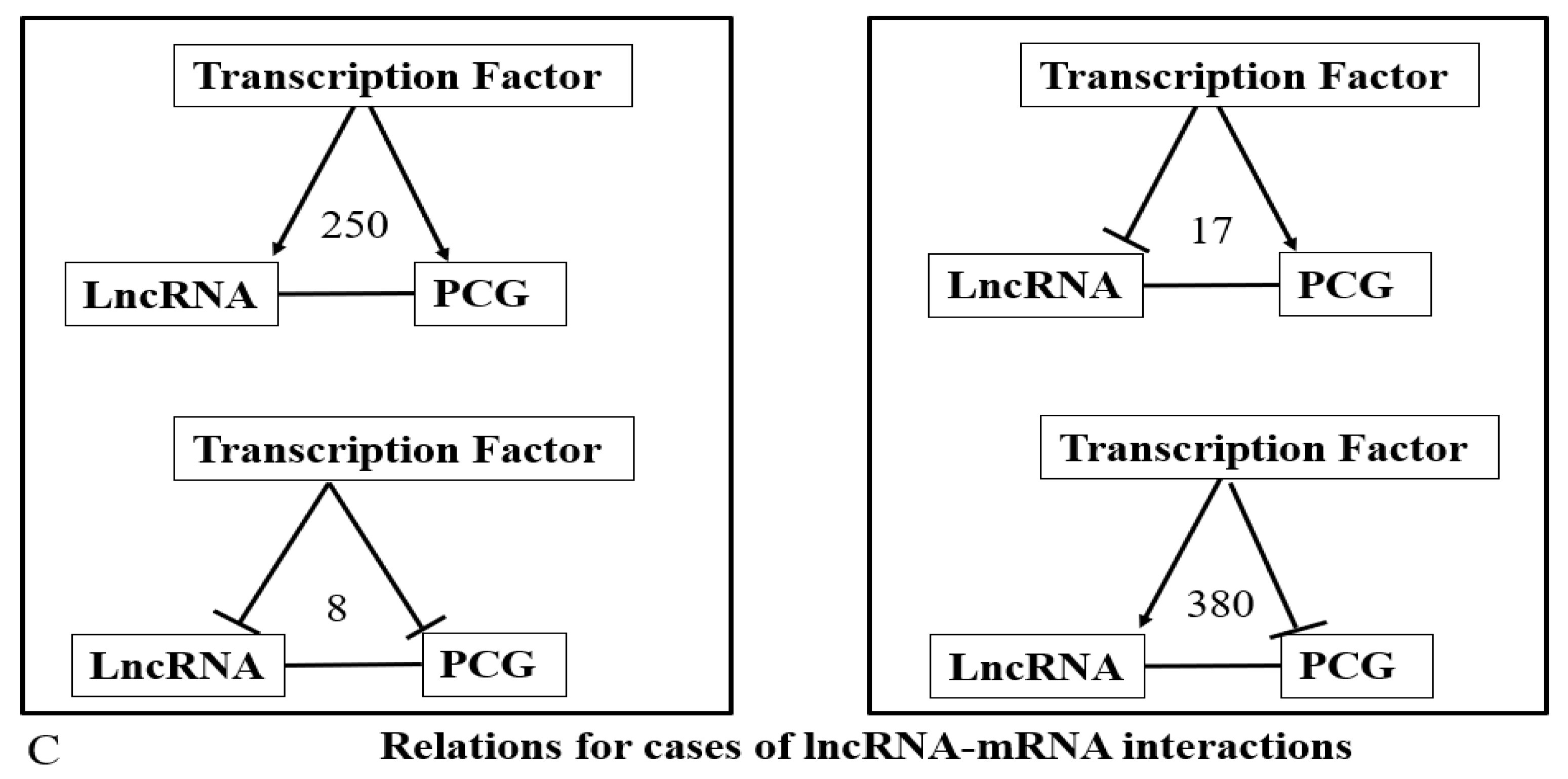 Ncrna 07 00074 g012b