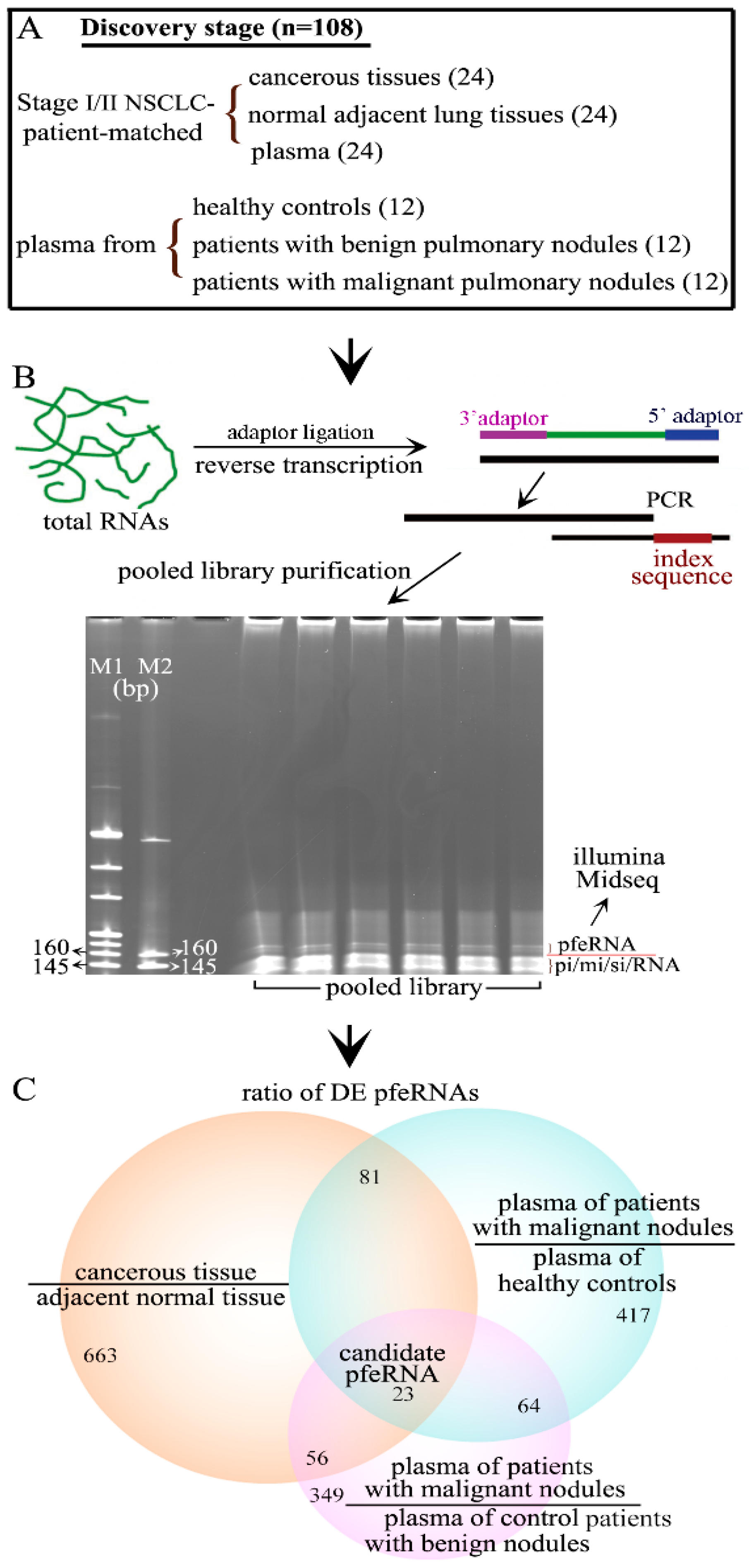 Ncrna 07 00080 g001 550