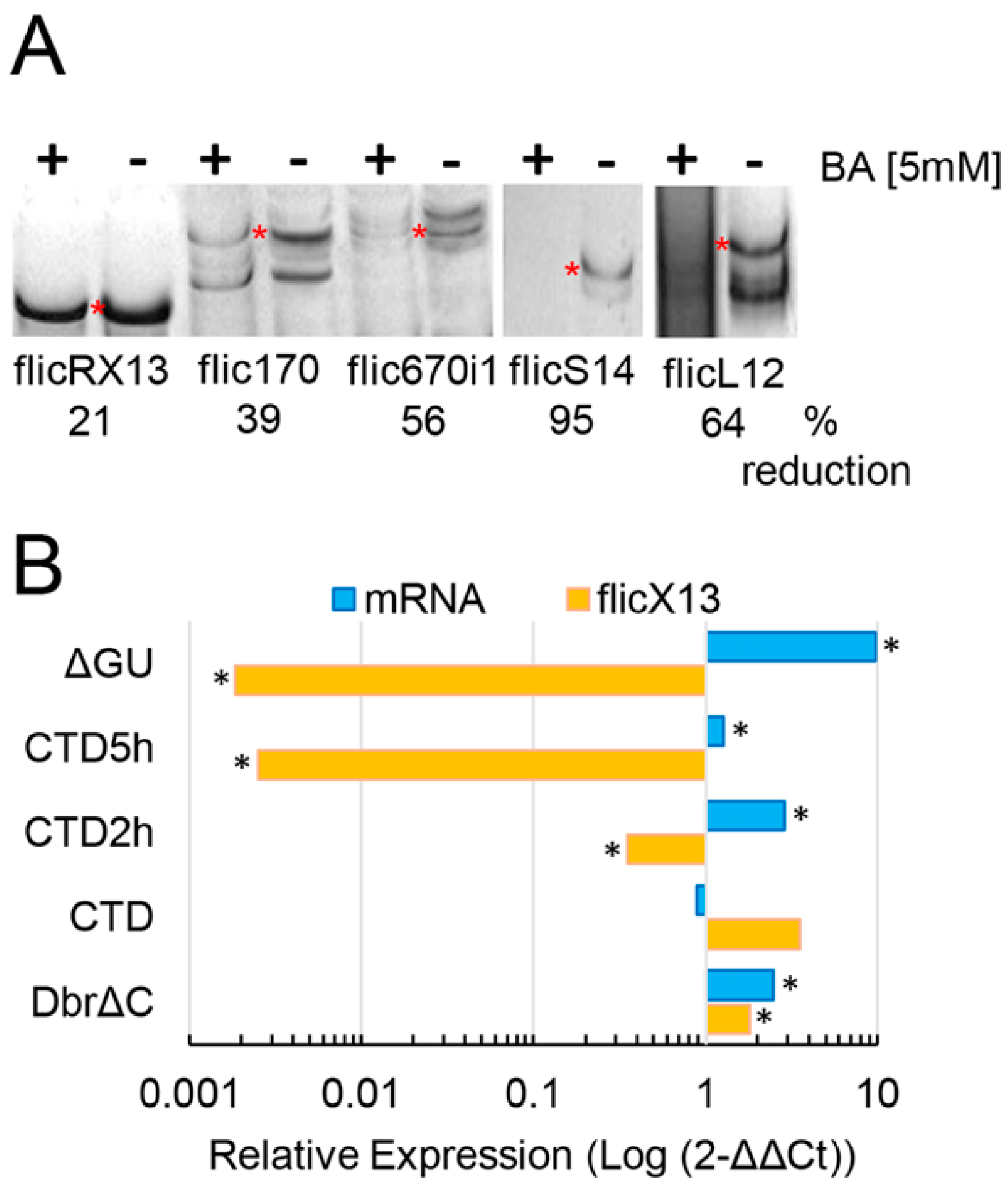 Ncrna 08 00012 g002 Ncrna 08 00012 g002