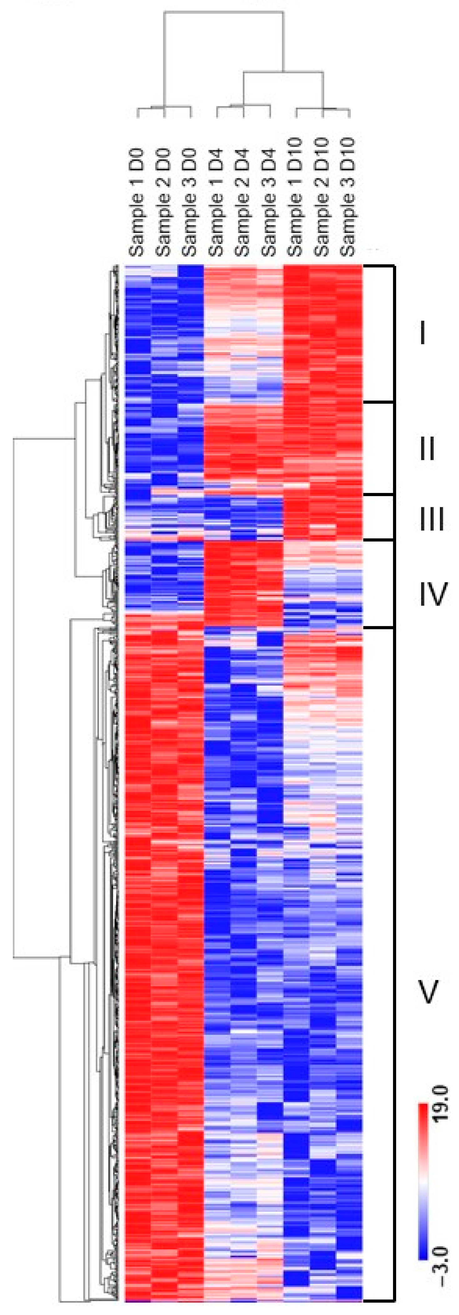 Ncrna 08 00015 g005 Ncrna 08 00015 g005