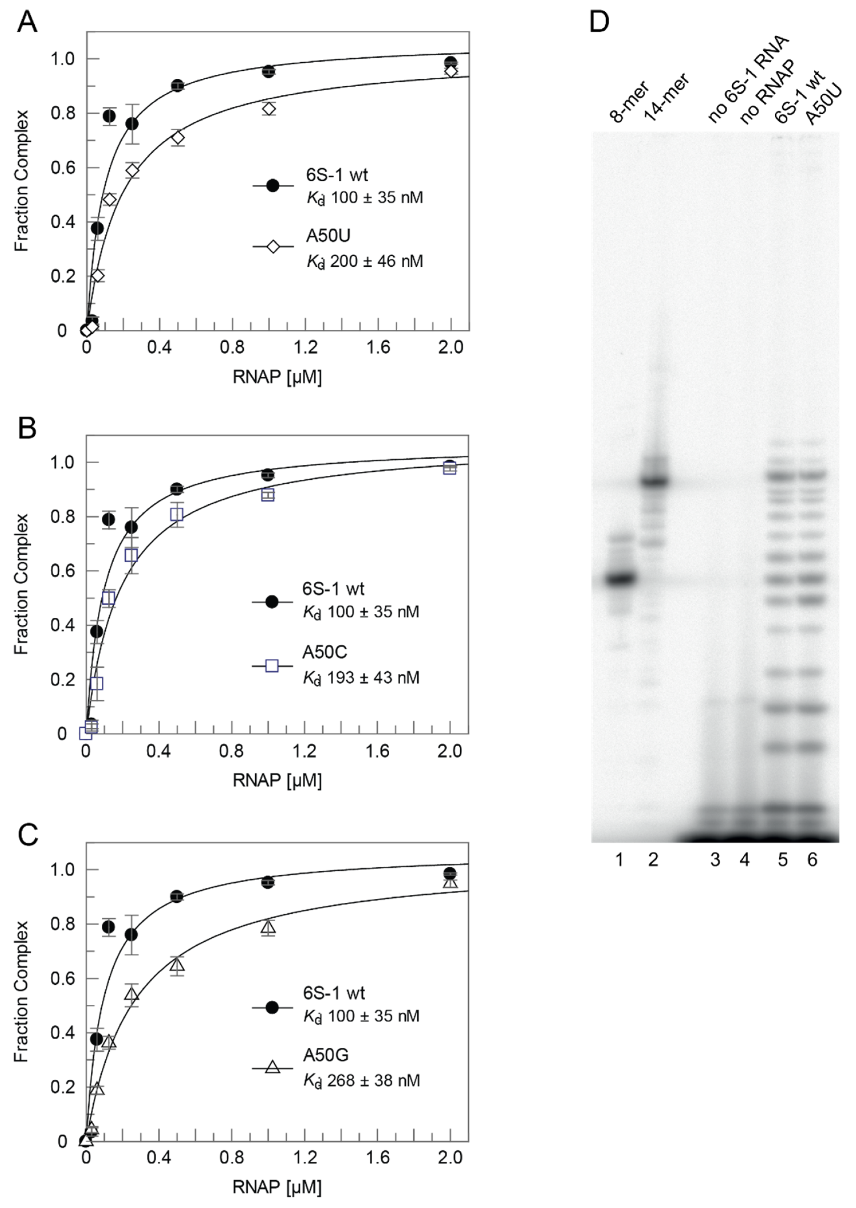 Ncrna 08 00020 g003 Ncrna 08 00020 g003