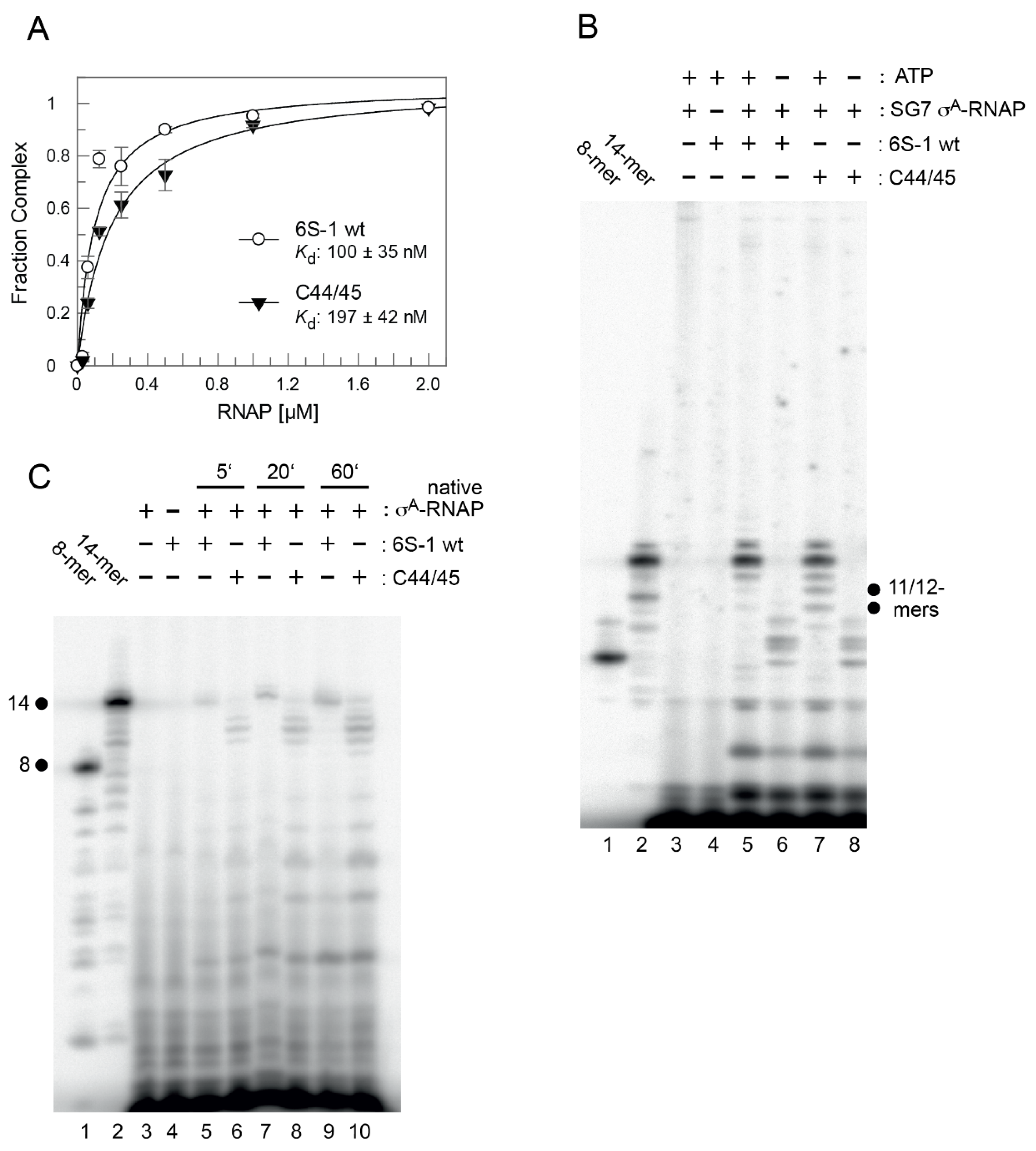 Ncrna 08 00020 g004 Ncrna 08 00020 g004