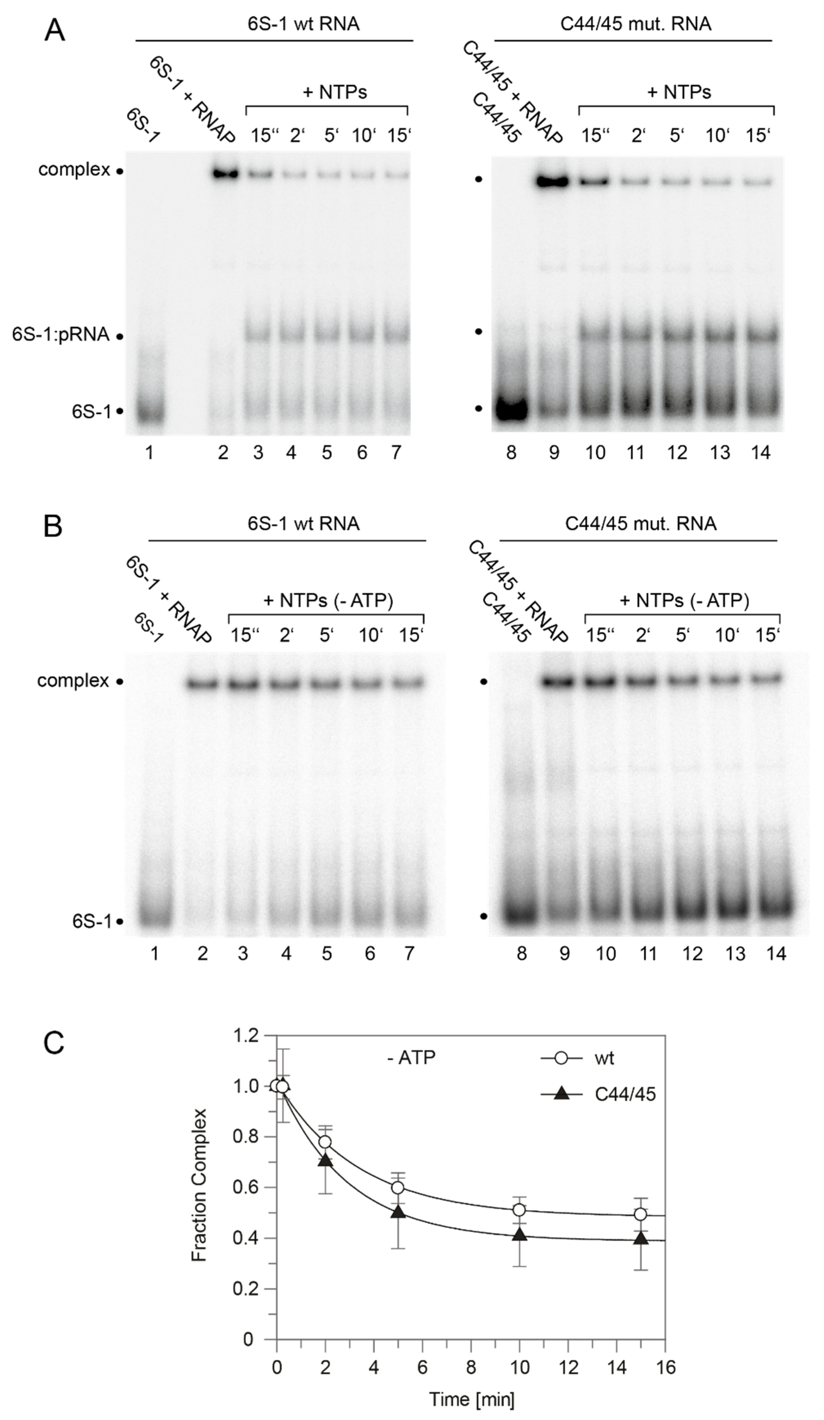 Ncrna 08 00020 g006 Ncrna 08 00020 g006