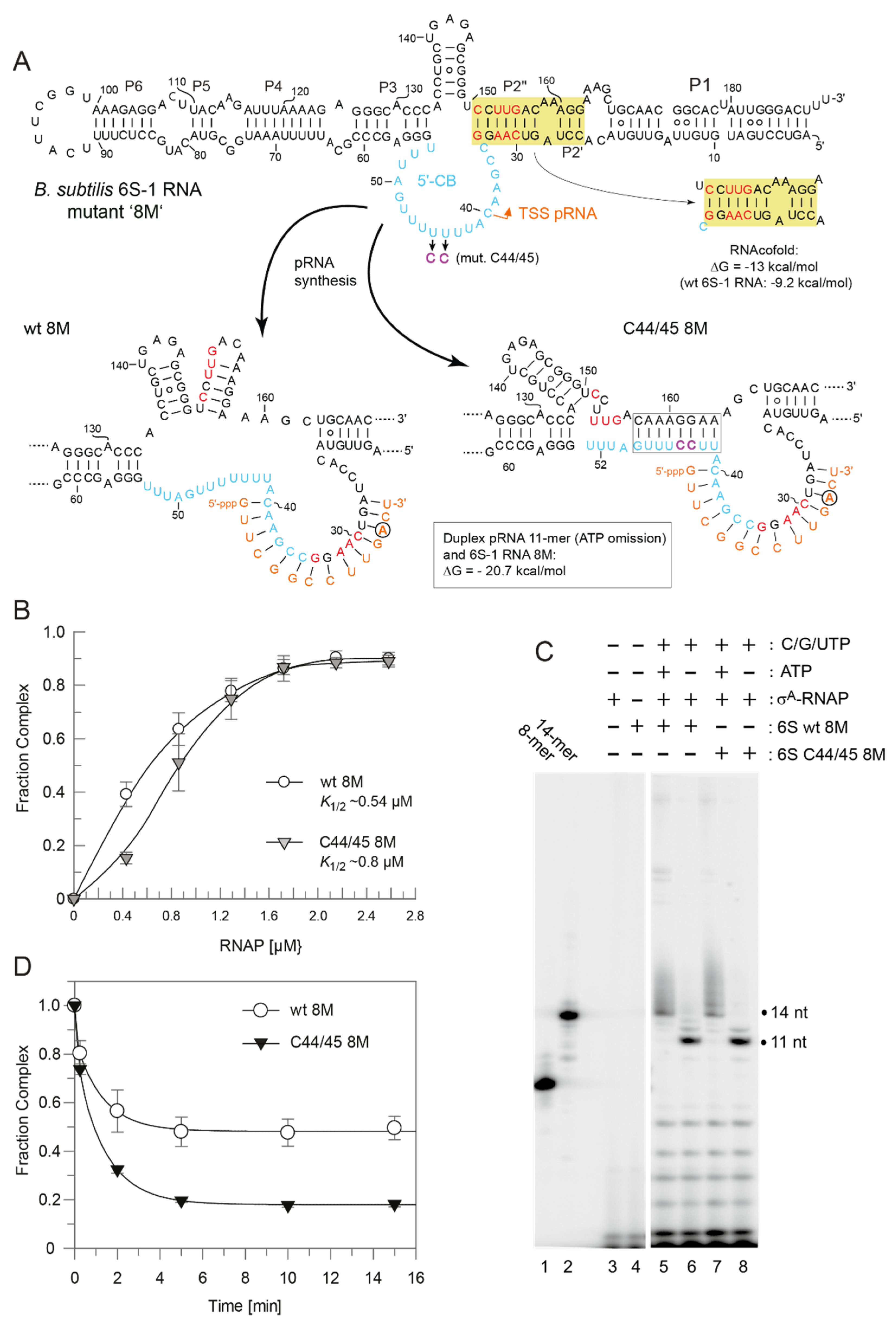Ncrna 08 00020 g008 Ncrna 08 00020 g008