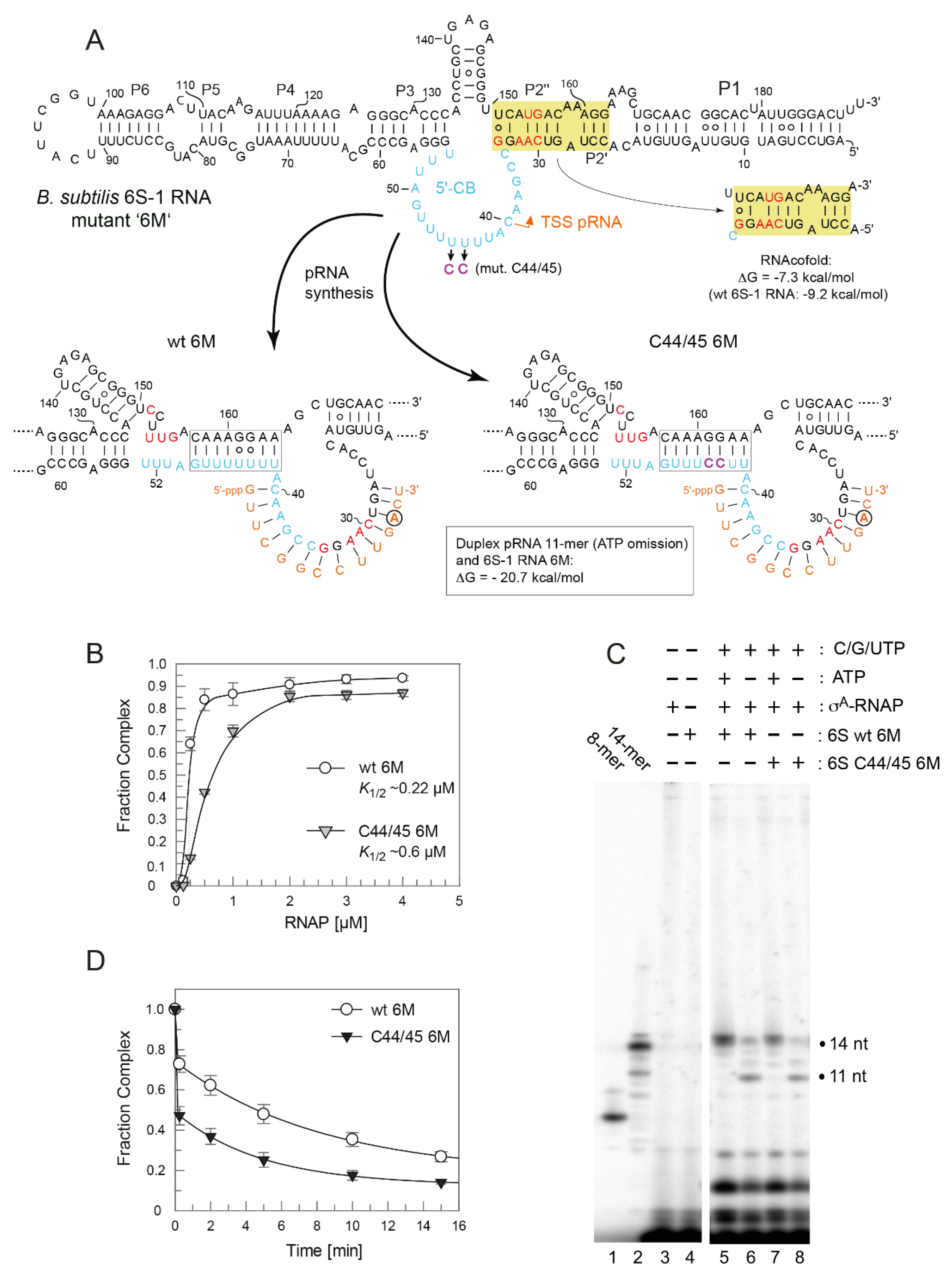 Ncrna 08 00020 g010 Ncrna 08 00020 g010