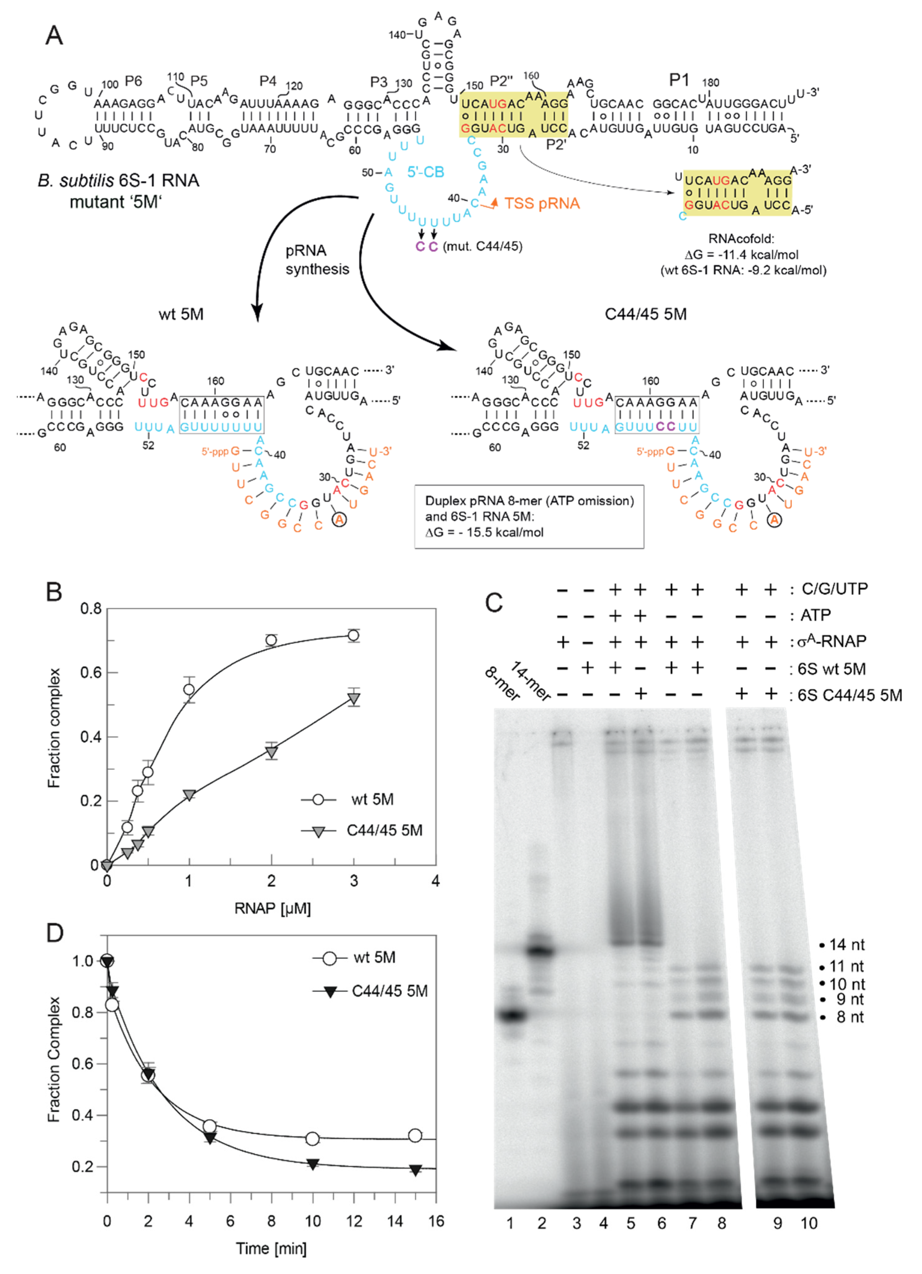 Ncrna 08 00020 g011 Ncrna 08 00020 g011