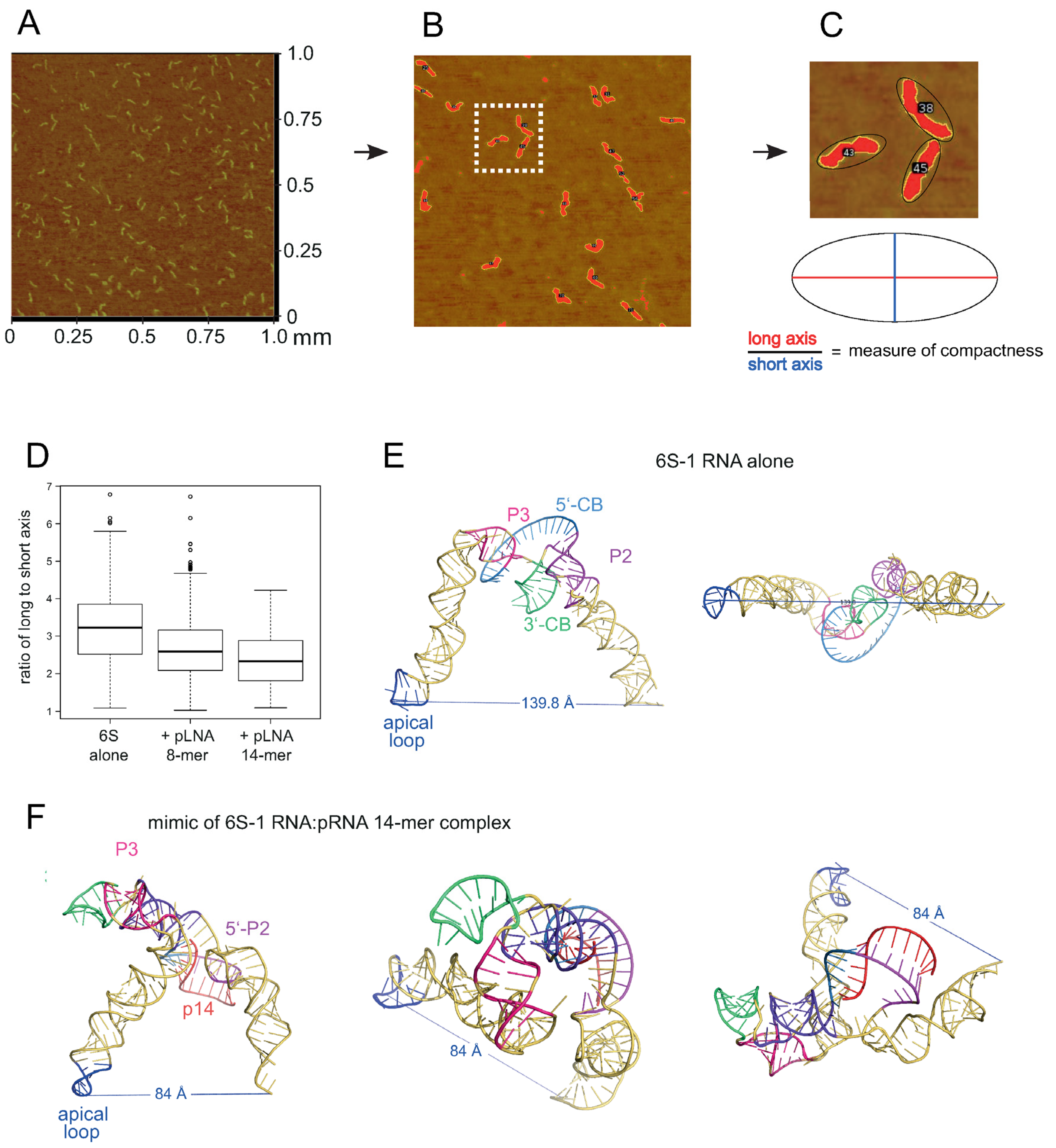 Ncrna 08 00020 g013 Ncrna 08 00020 g013