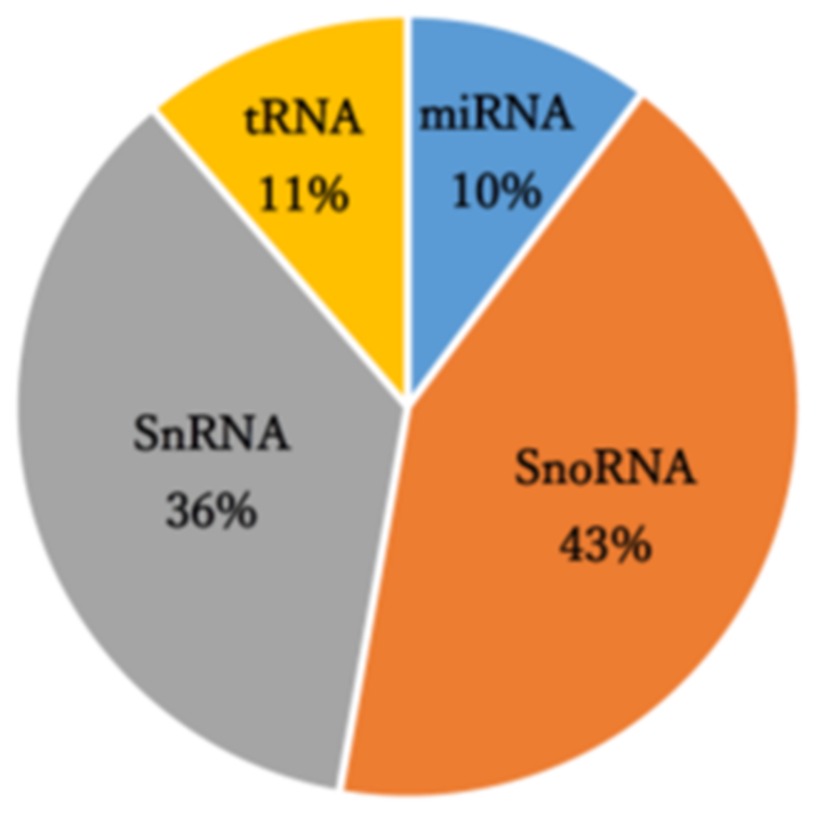 Ncrna 08 00043 g001 Ncrna 08 00043 g001