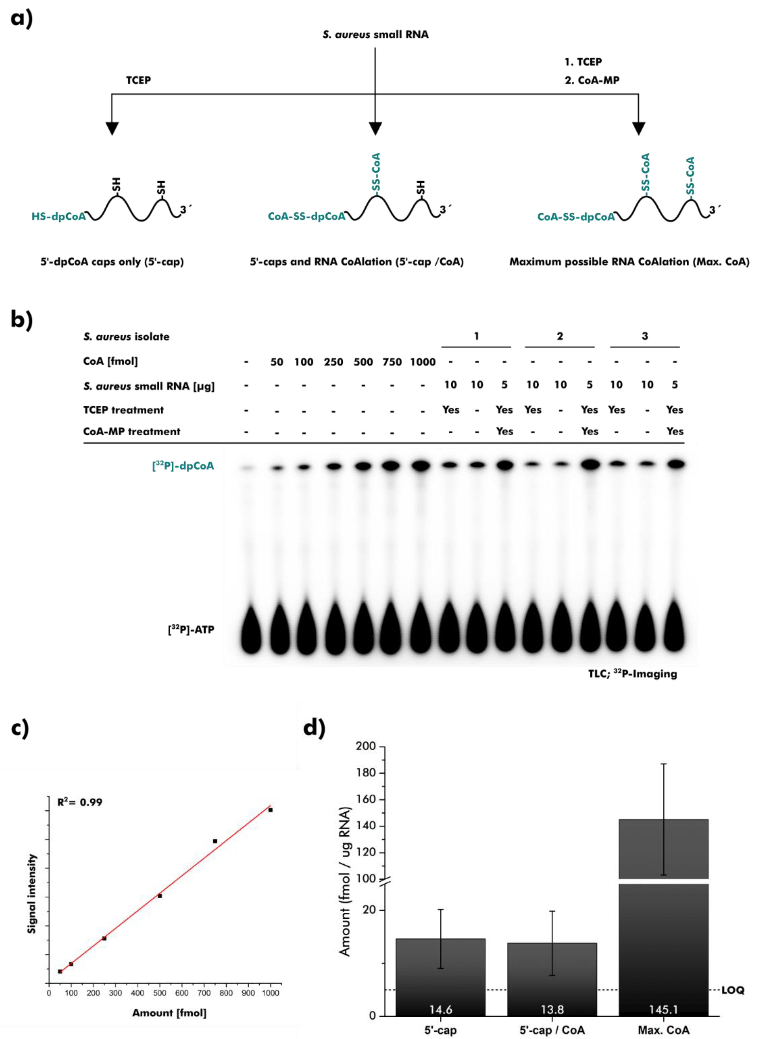 Ncrna 08 00046 g003 Ncrna 08 00046 g003
