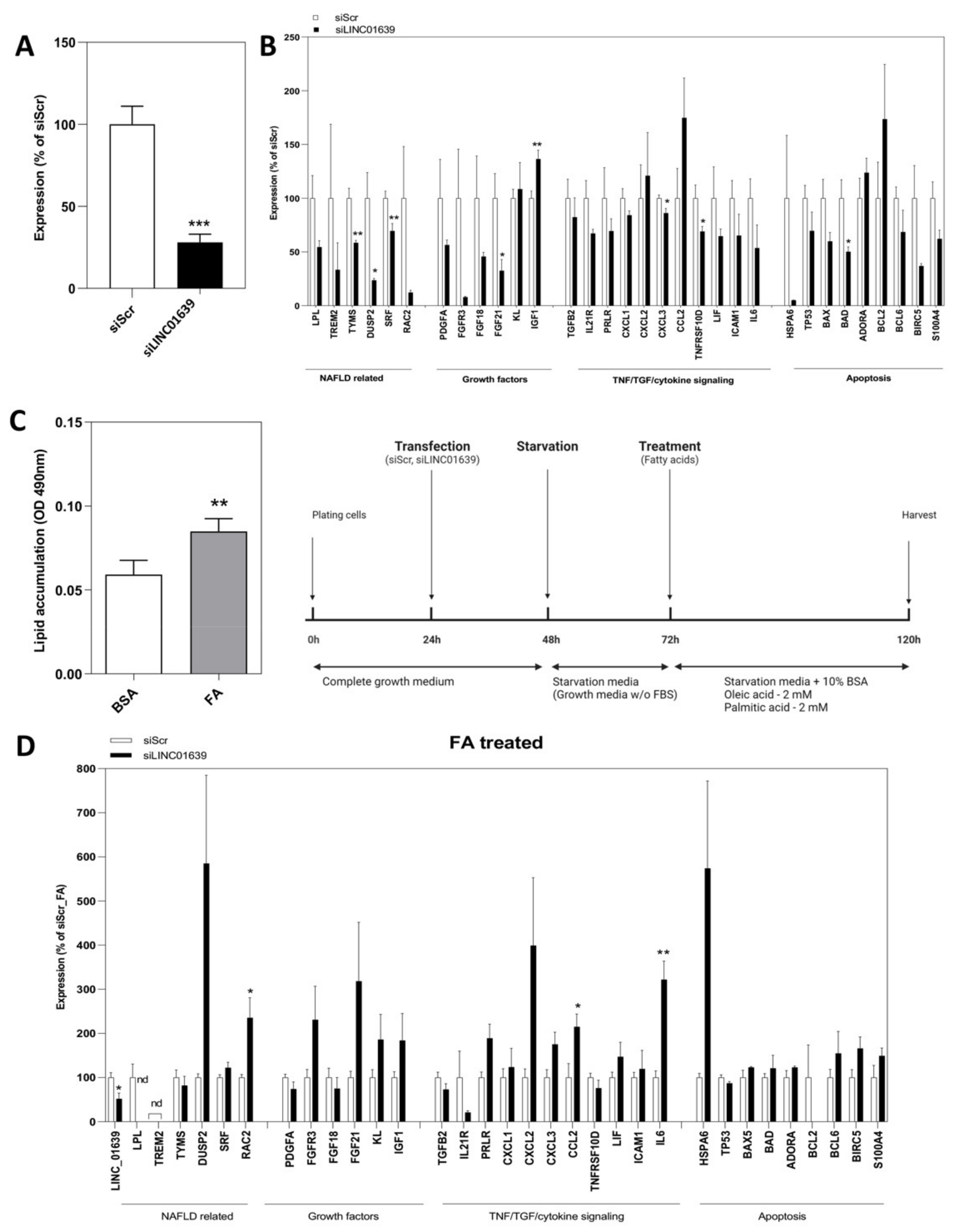 Ncrna 08 00056 g004 Ncrna 08 00056 g004
