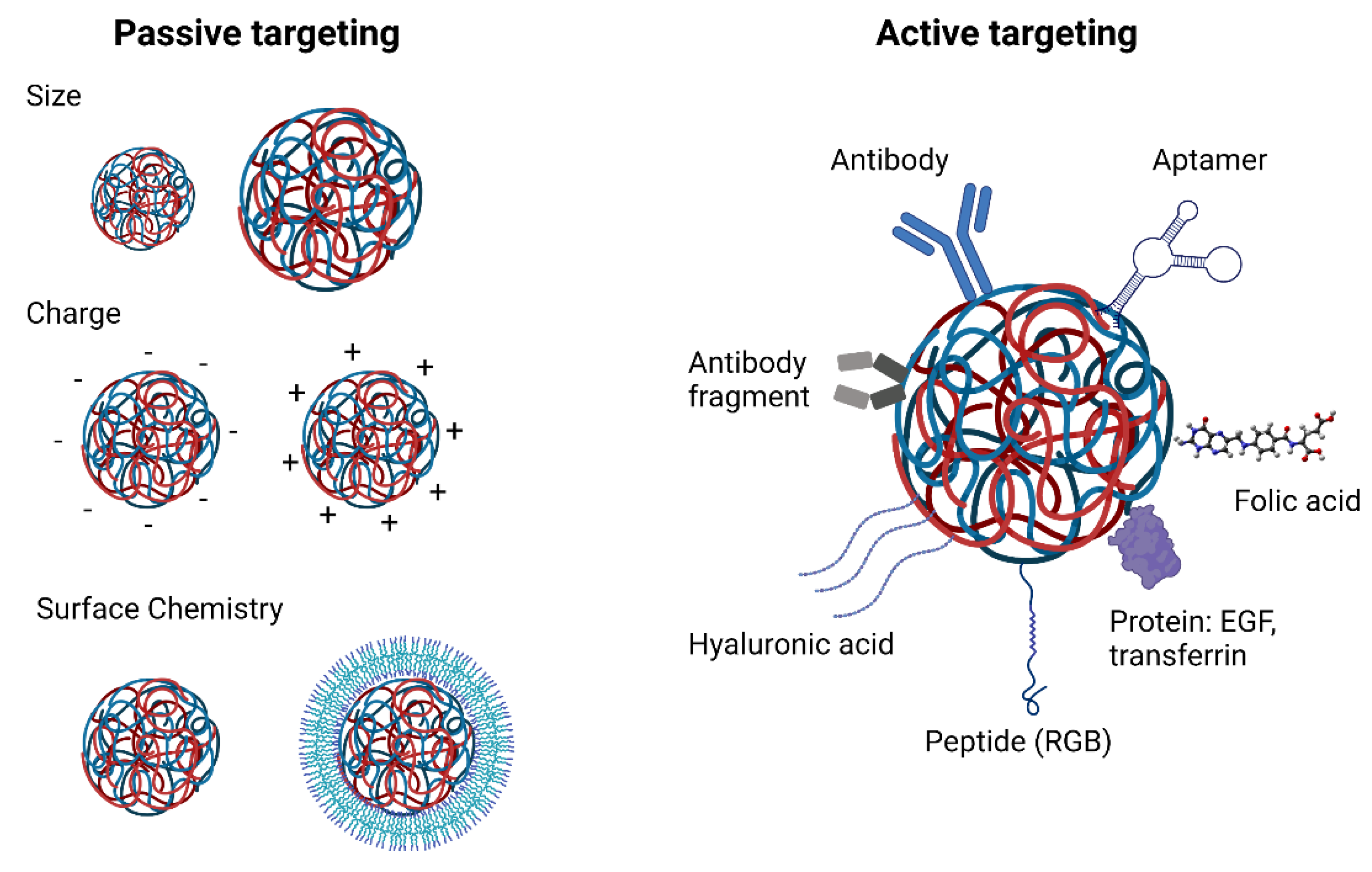 Ncrna 08 00058 g002 550
