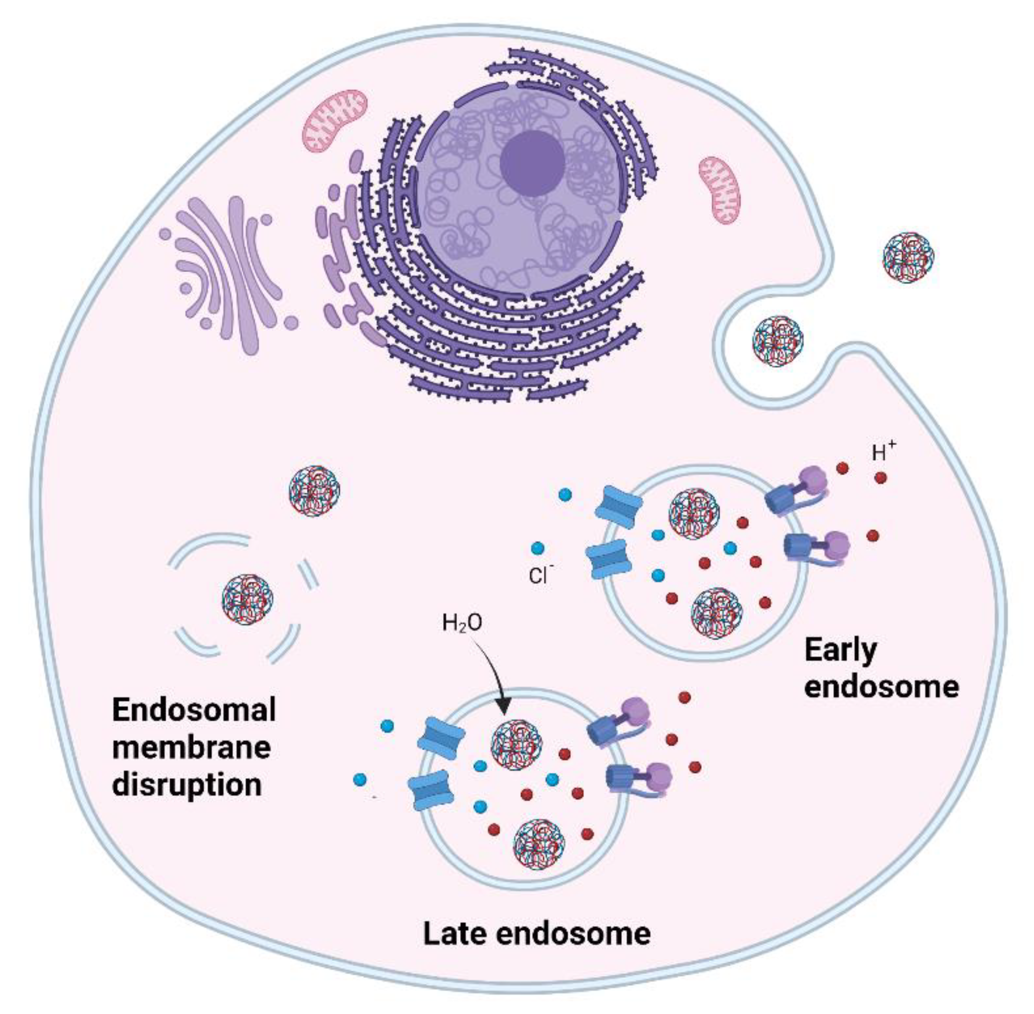 Ncrna 08 00058 g003 550