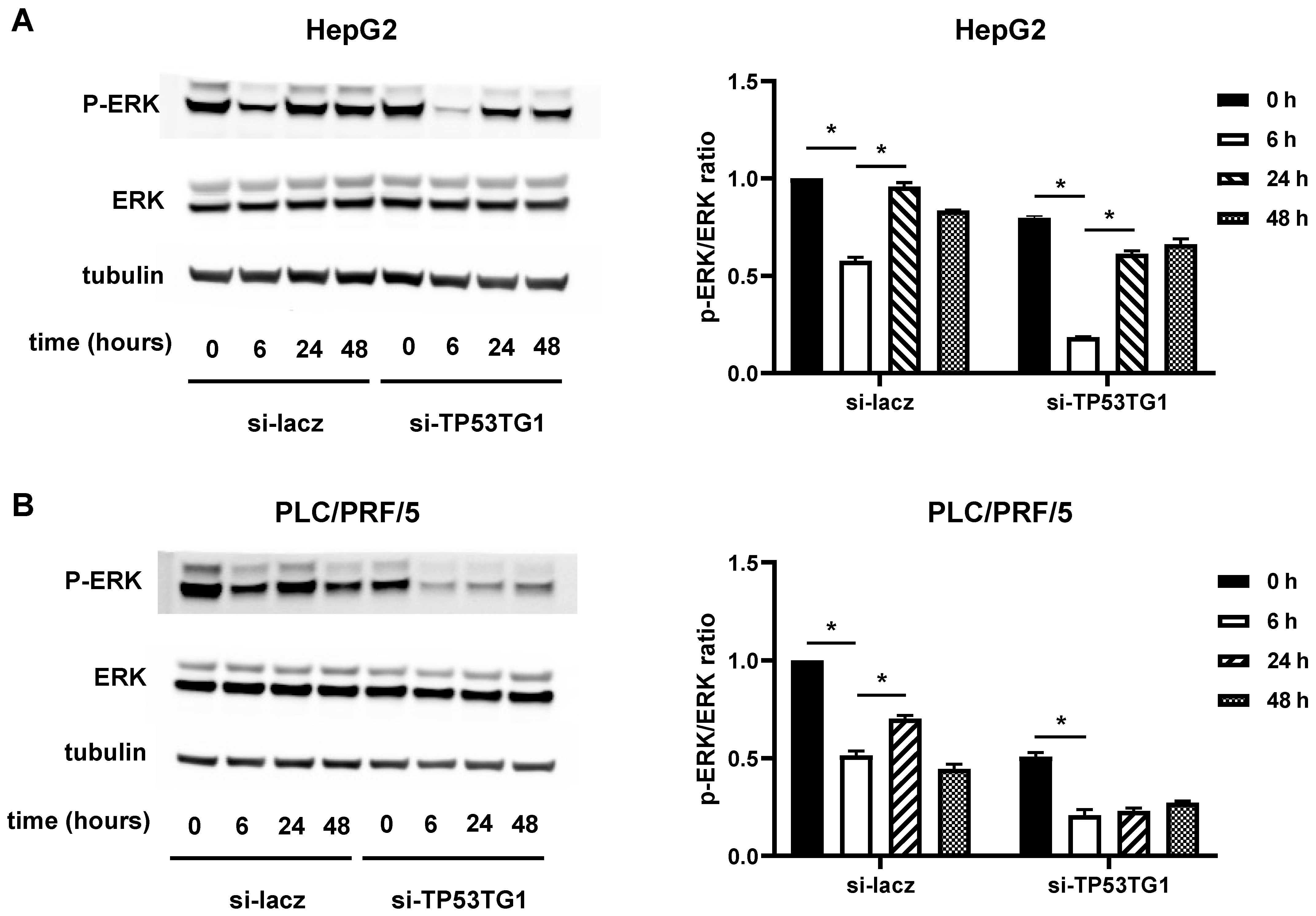 Ncrna 08 00061 g004 Ncrna 08 00061 g004