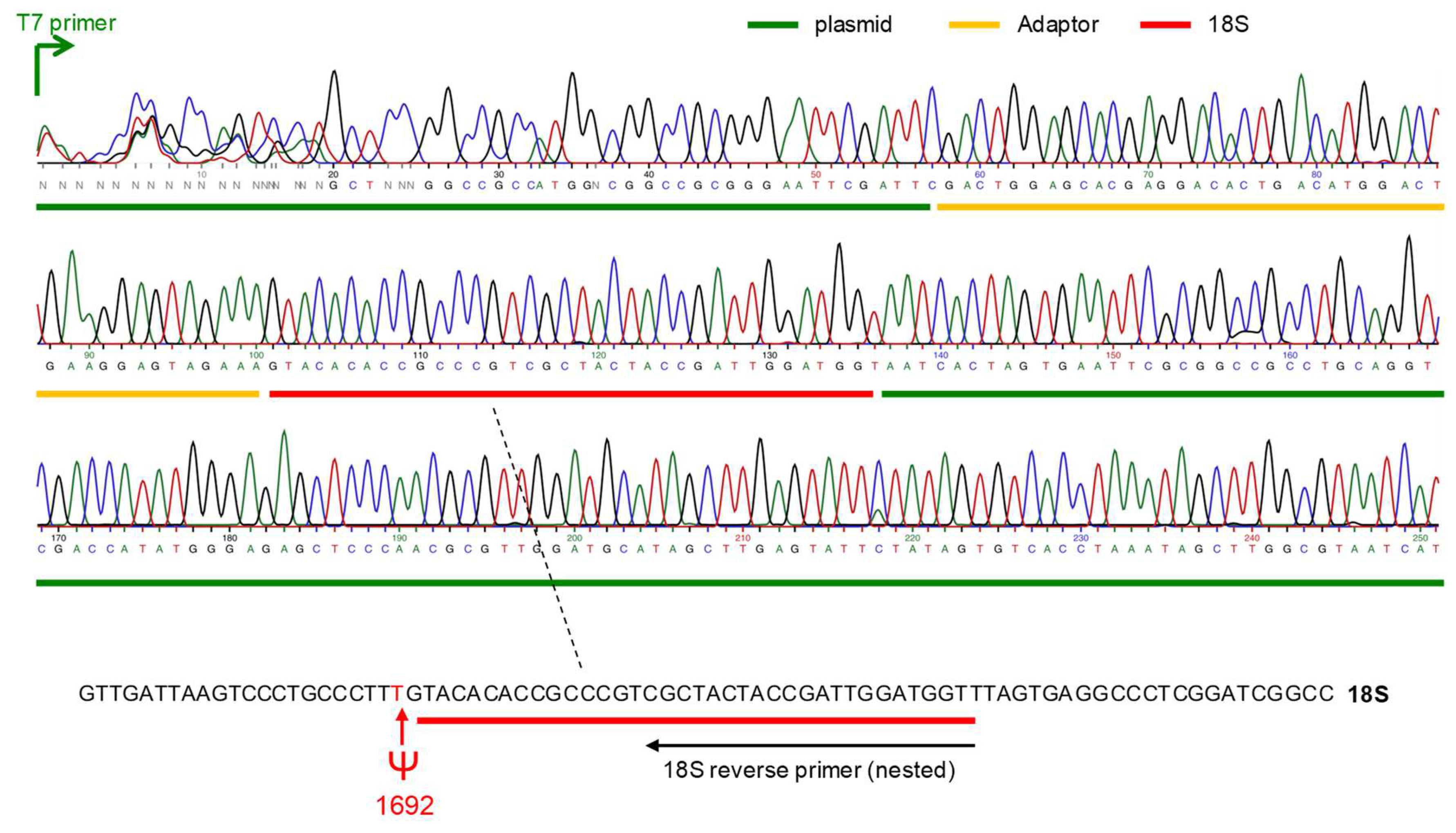 Ncrna 08 00063 g004 Ncrna 08 00063 g004