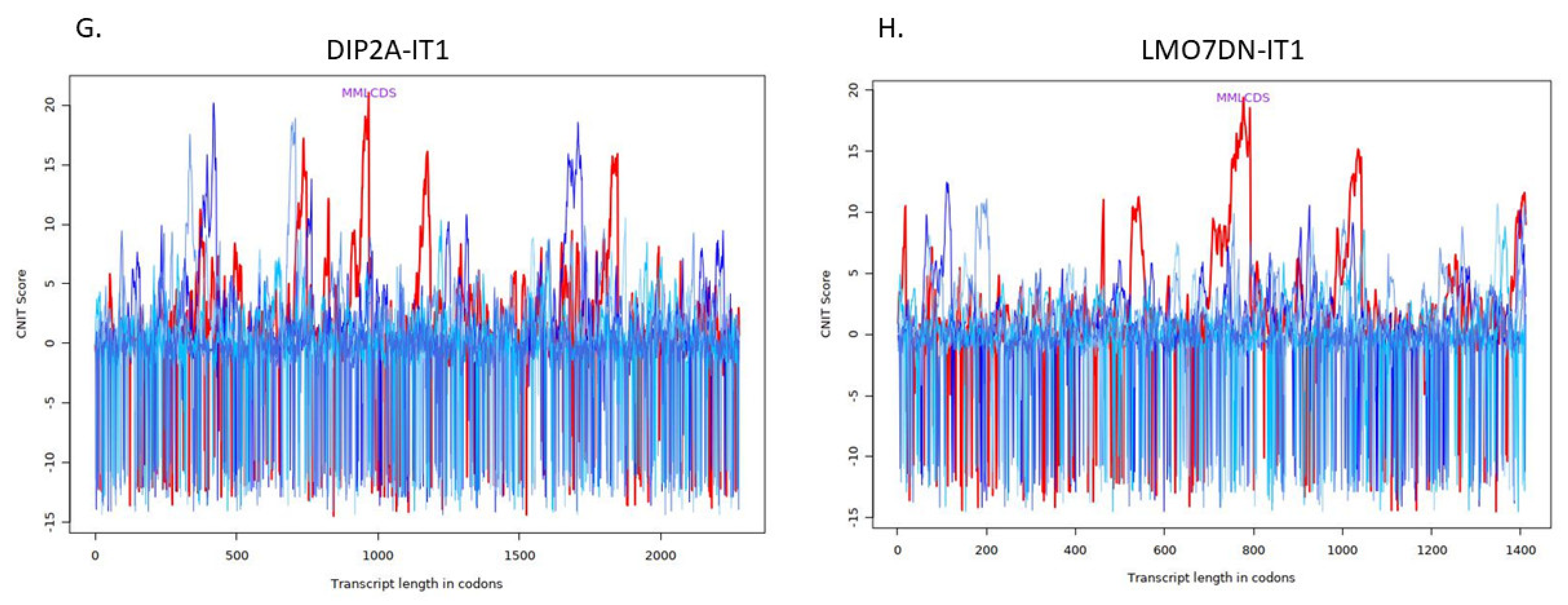 Ncrna 08 00073 g002d