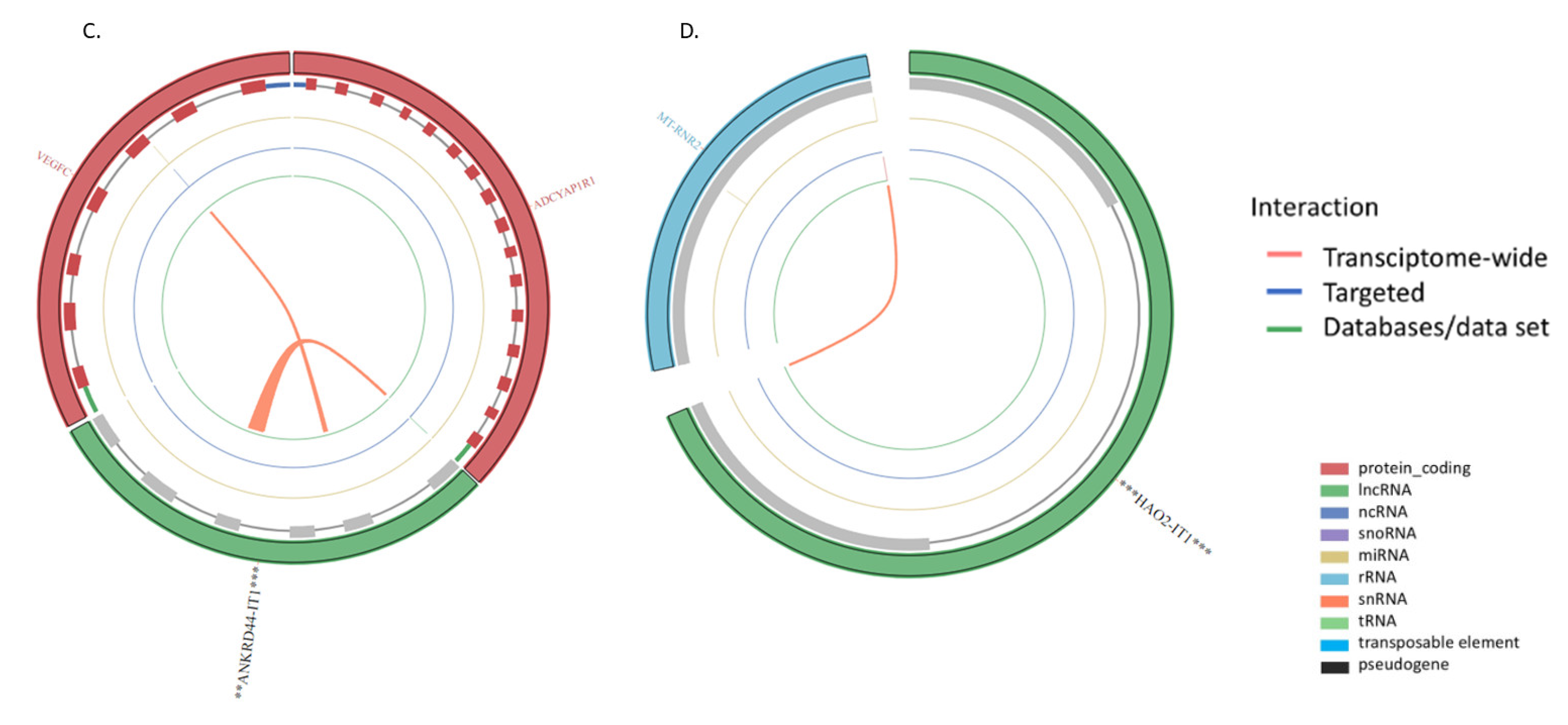 Ncrna 08 00073 g003b
