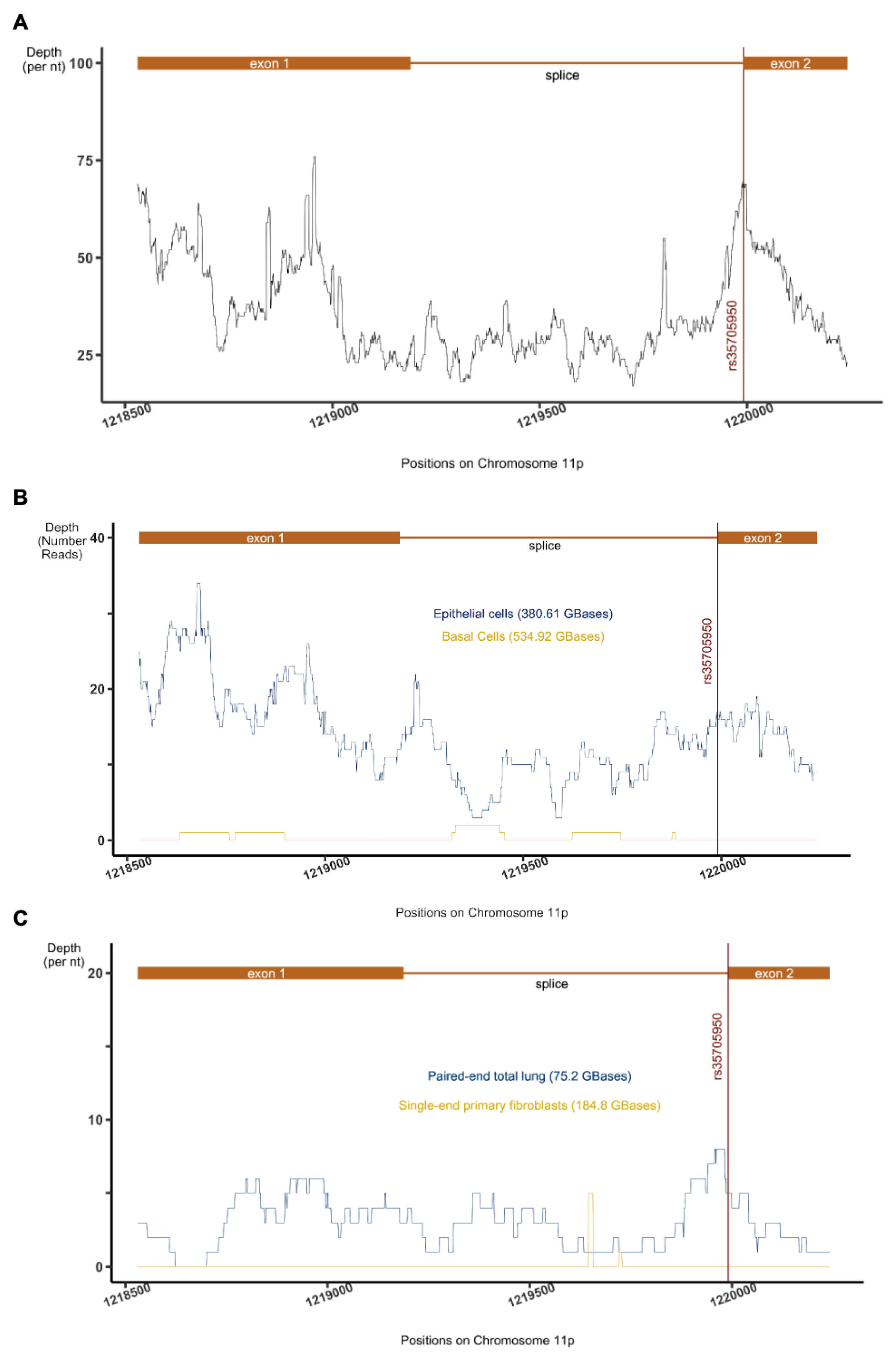 Ncrna 08 00083 g001 Ncrna 08 00083 g001