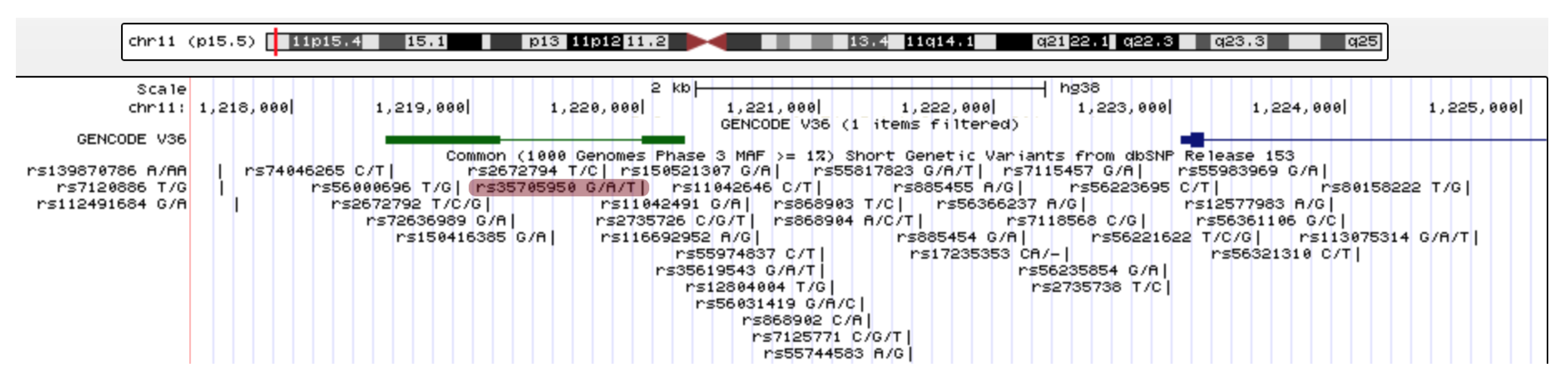 Ncrna 08 00083 g002 Ncrna 08 00083 g002