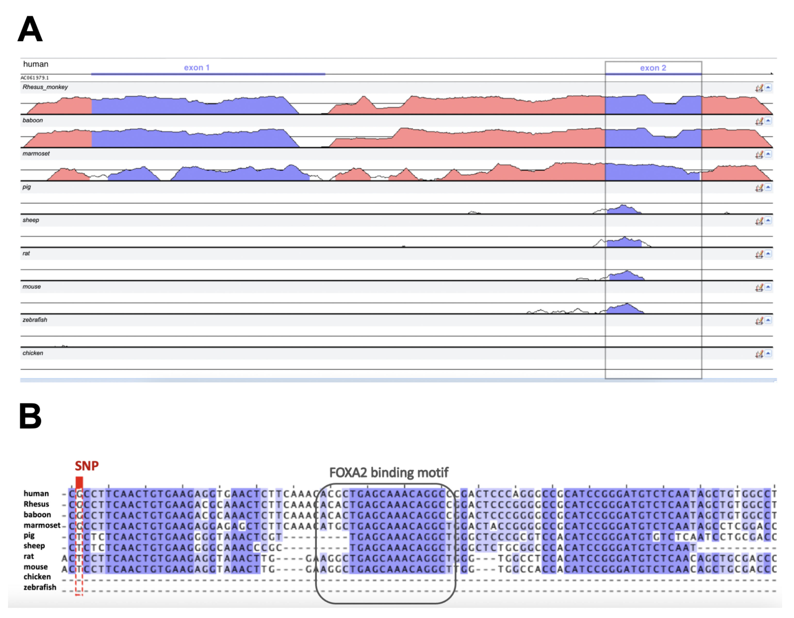 Ncrna 08 00083 g003 Ncrna 08 00083 g003