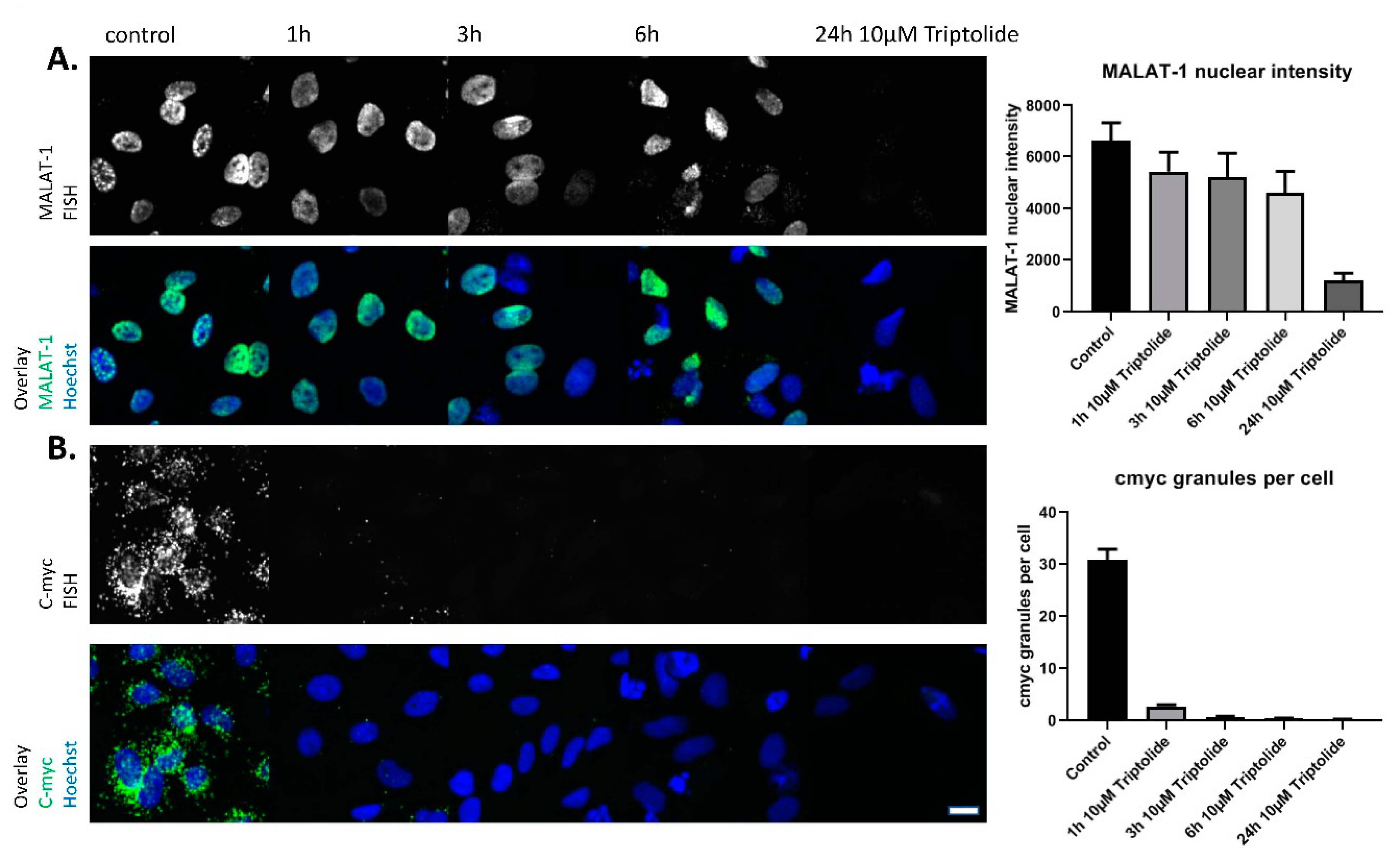 Ncrna 09 00002 g001 Ncrna 09 00002 g001