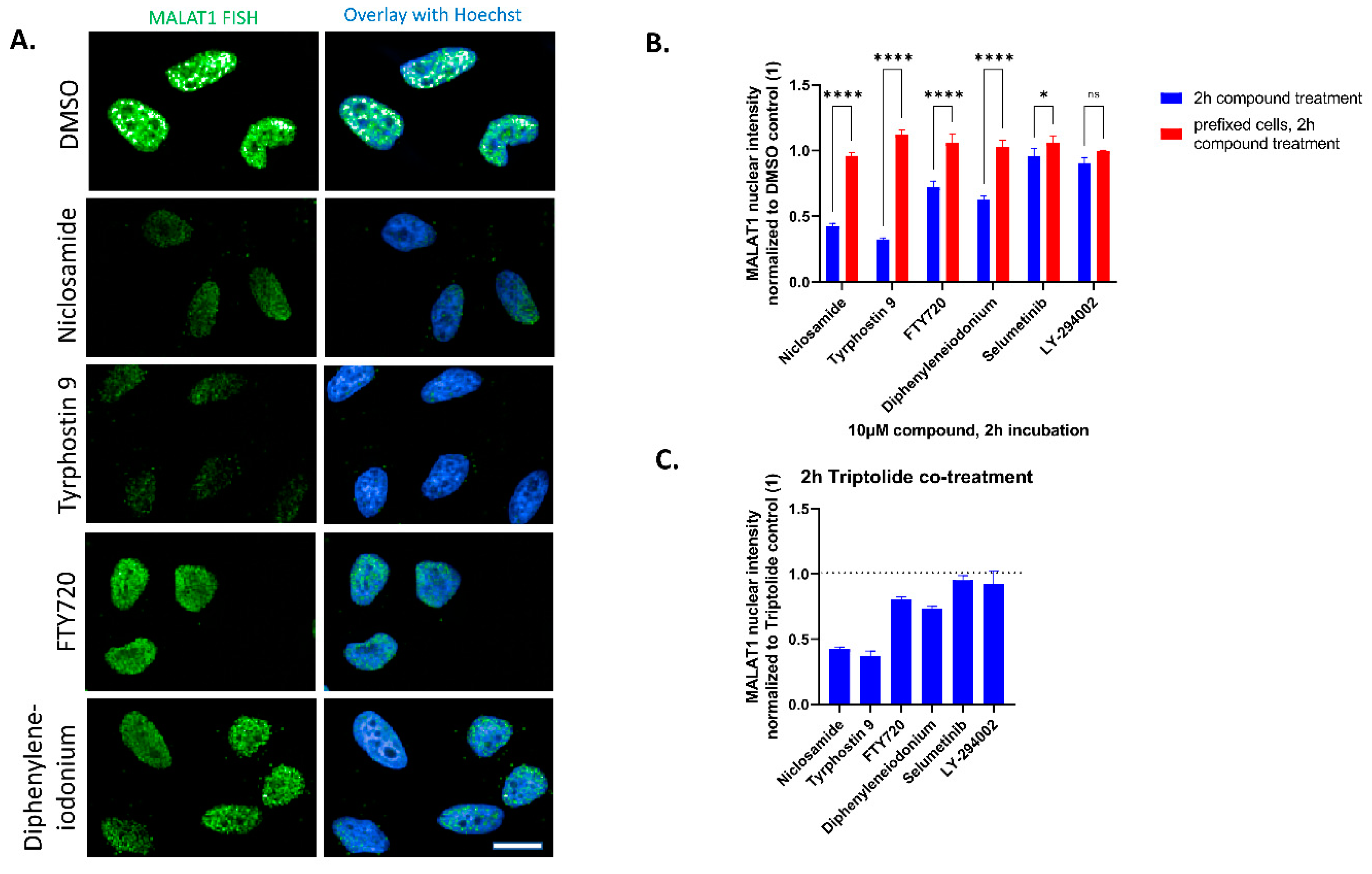 Ncrna 09 00002 g003 Ncrna 09 00002 g003