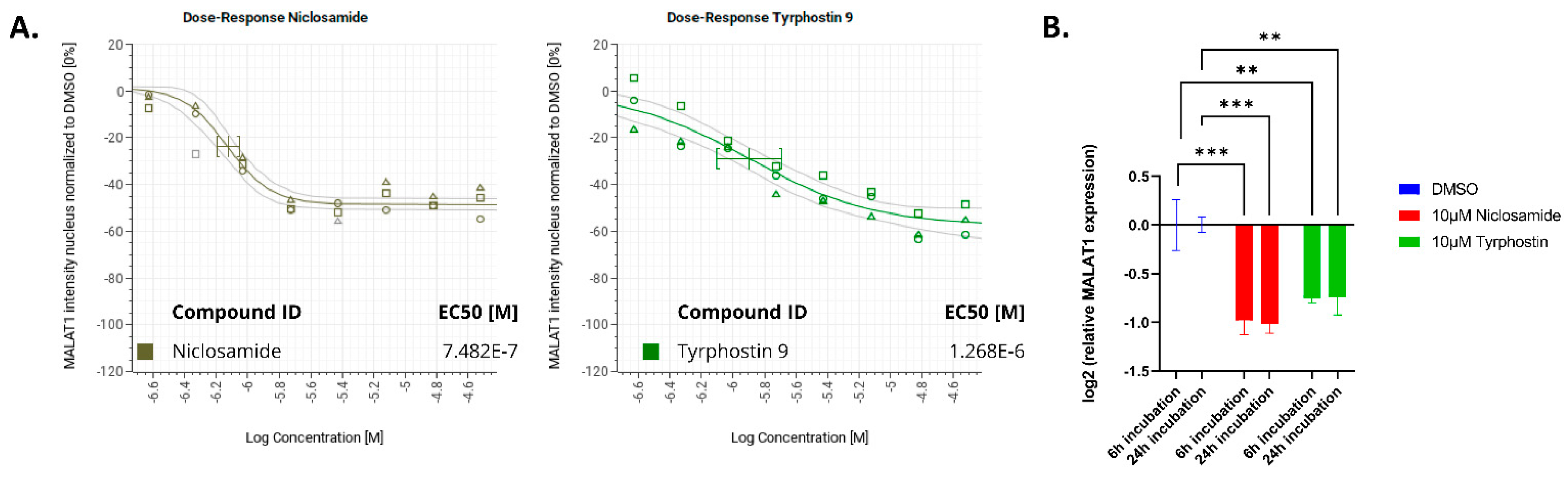 Ncrna 09 00002 g004 Ncrna 09 00002 g004