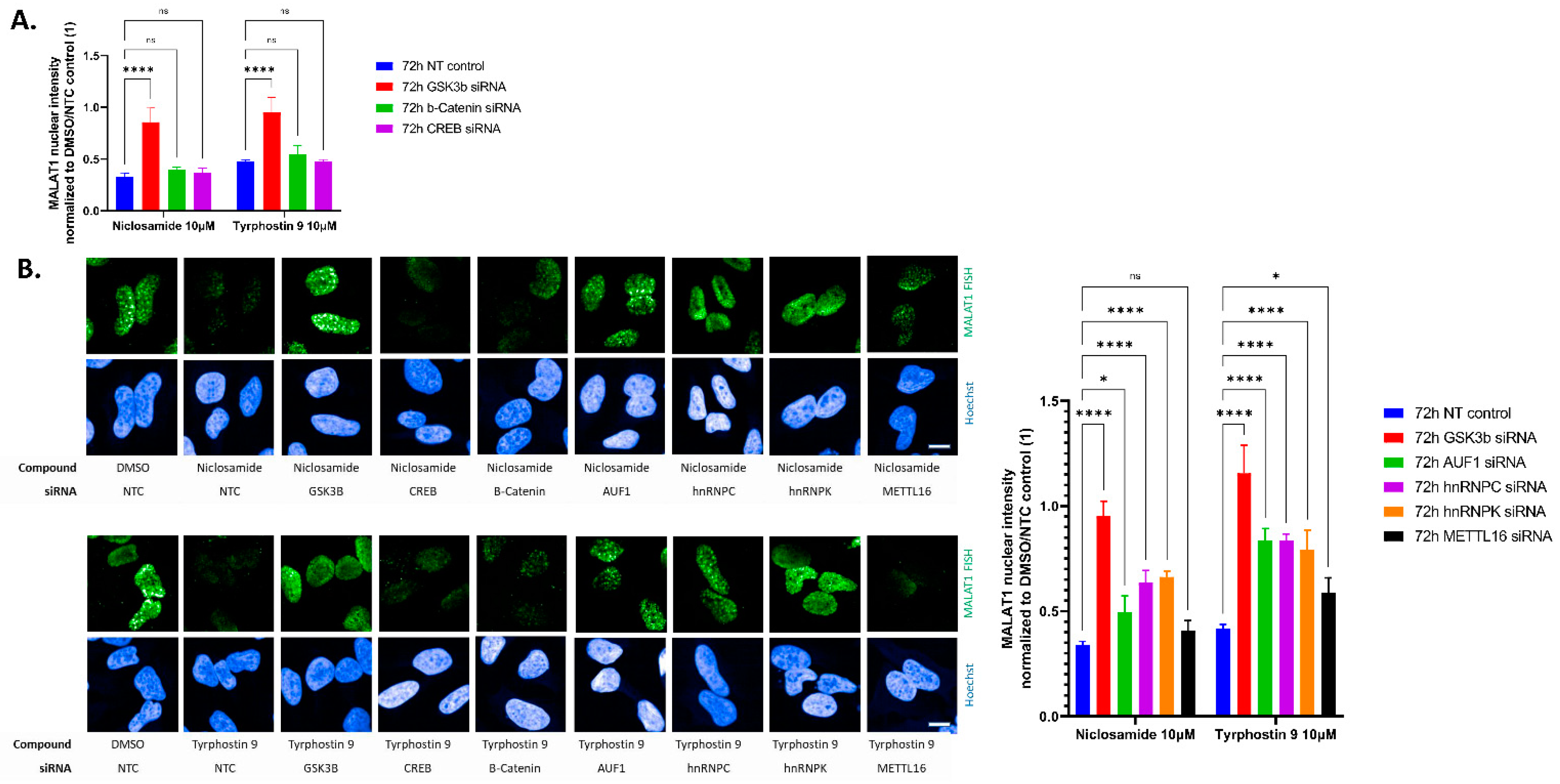 Ncrna 09 00002 g006 Ncrna 09 00002 g006