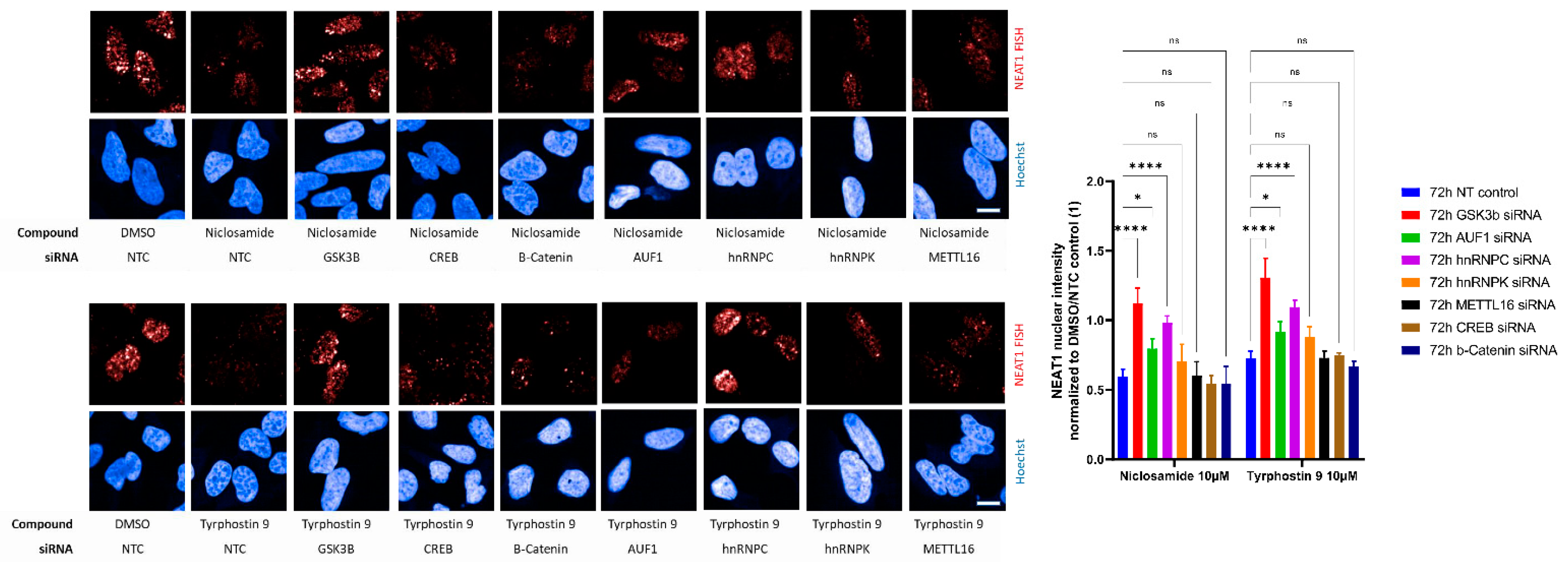 Ncrna 09 00002 g007 Ncrna 09 00002 g007