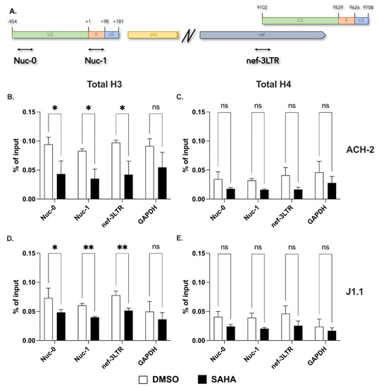 kmkm Epigenetic Regulation of HIV-1 Sense and Antisense