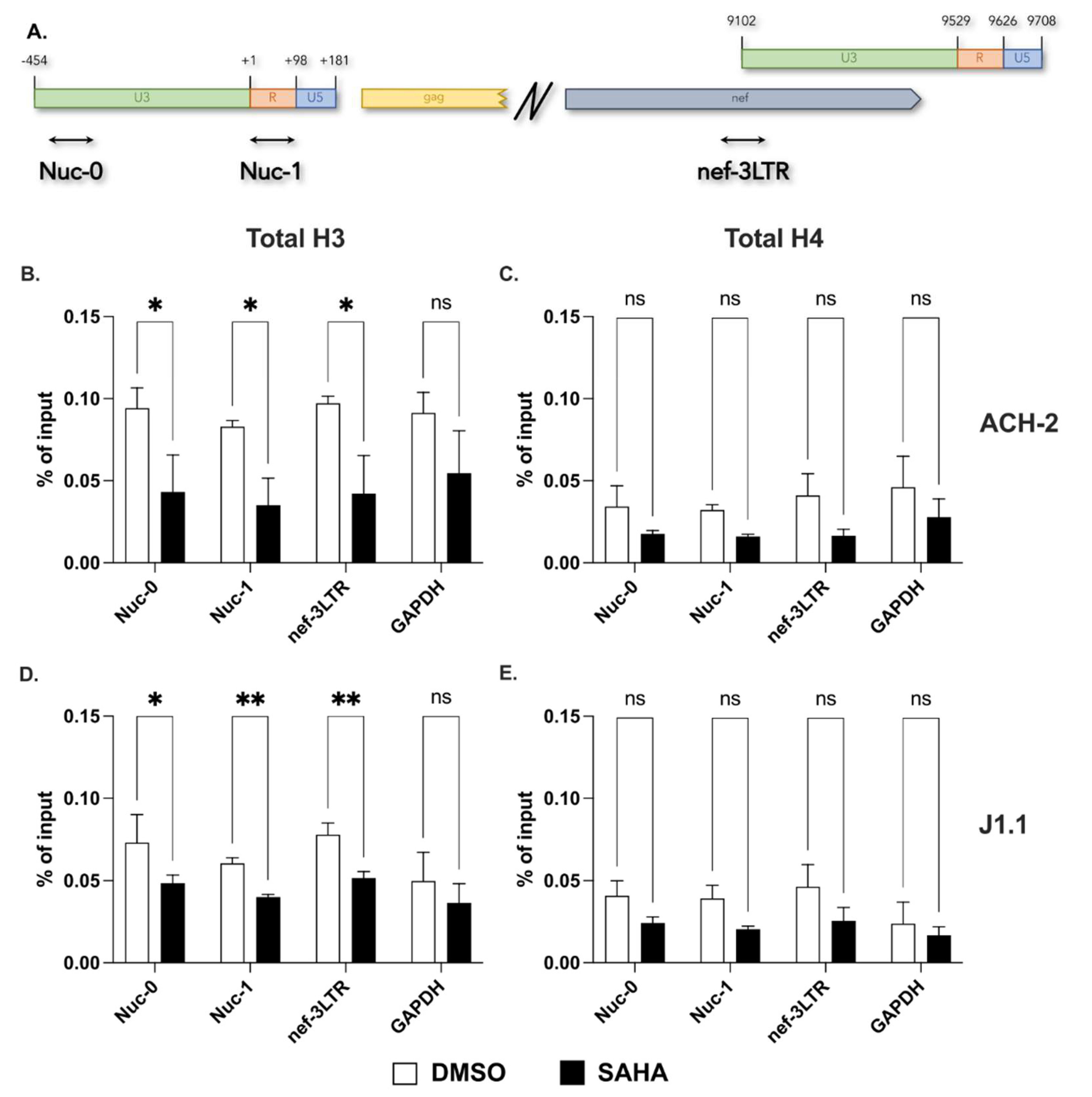ncRNA | Free Full-Text | Epigenetic Regulation of HIV-1 Sense and 