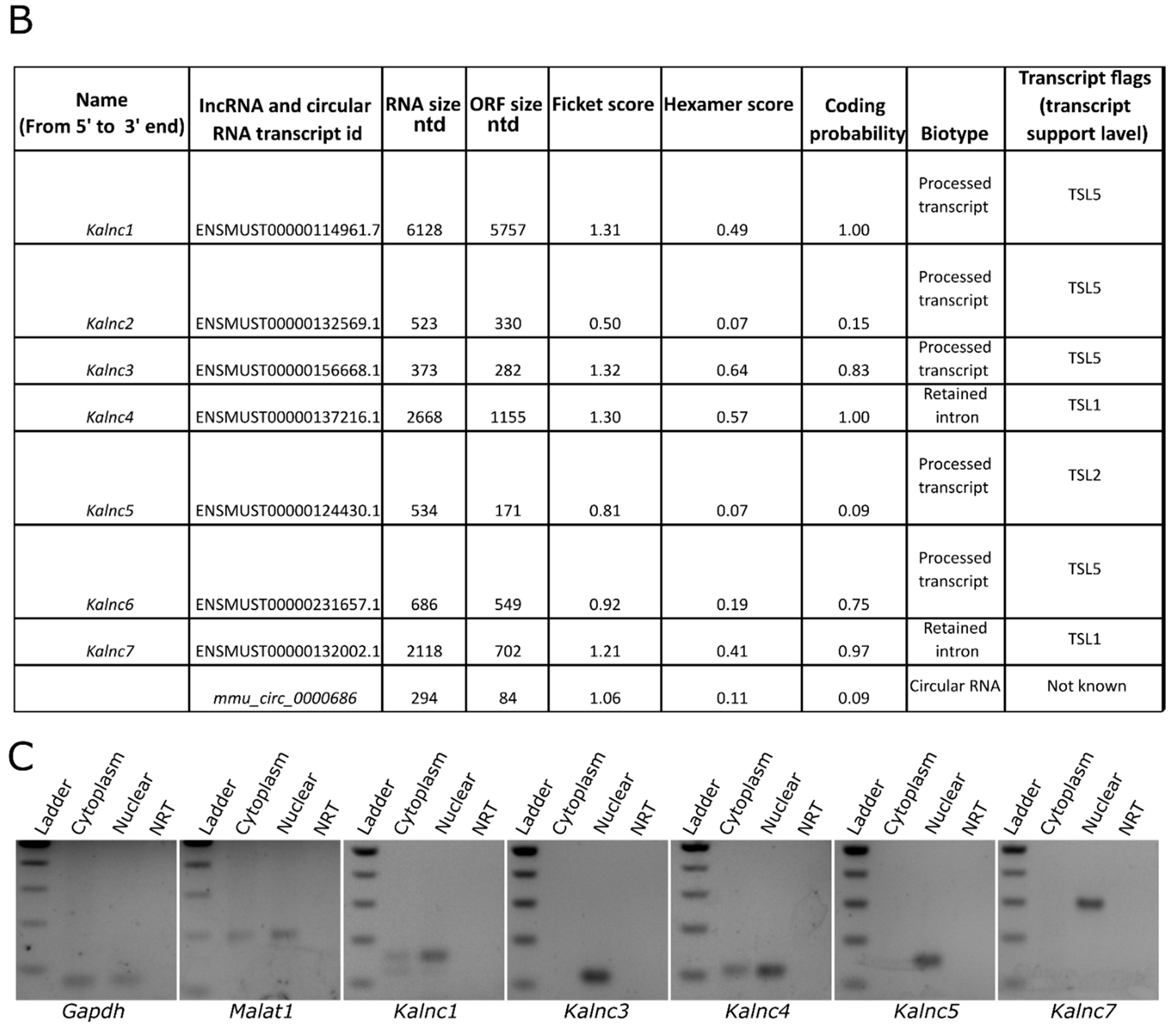 Ncrna 09 00007 g001b