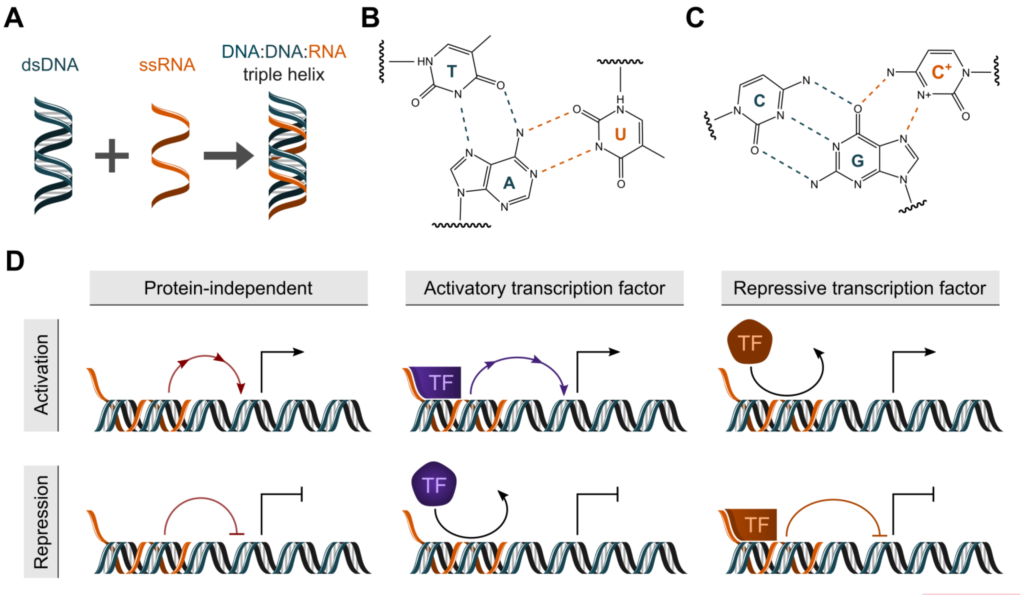 Dna Hrblock - dmect4i