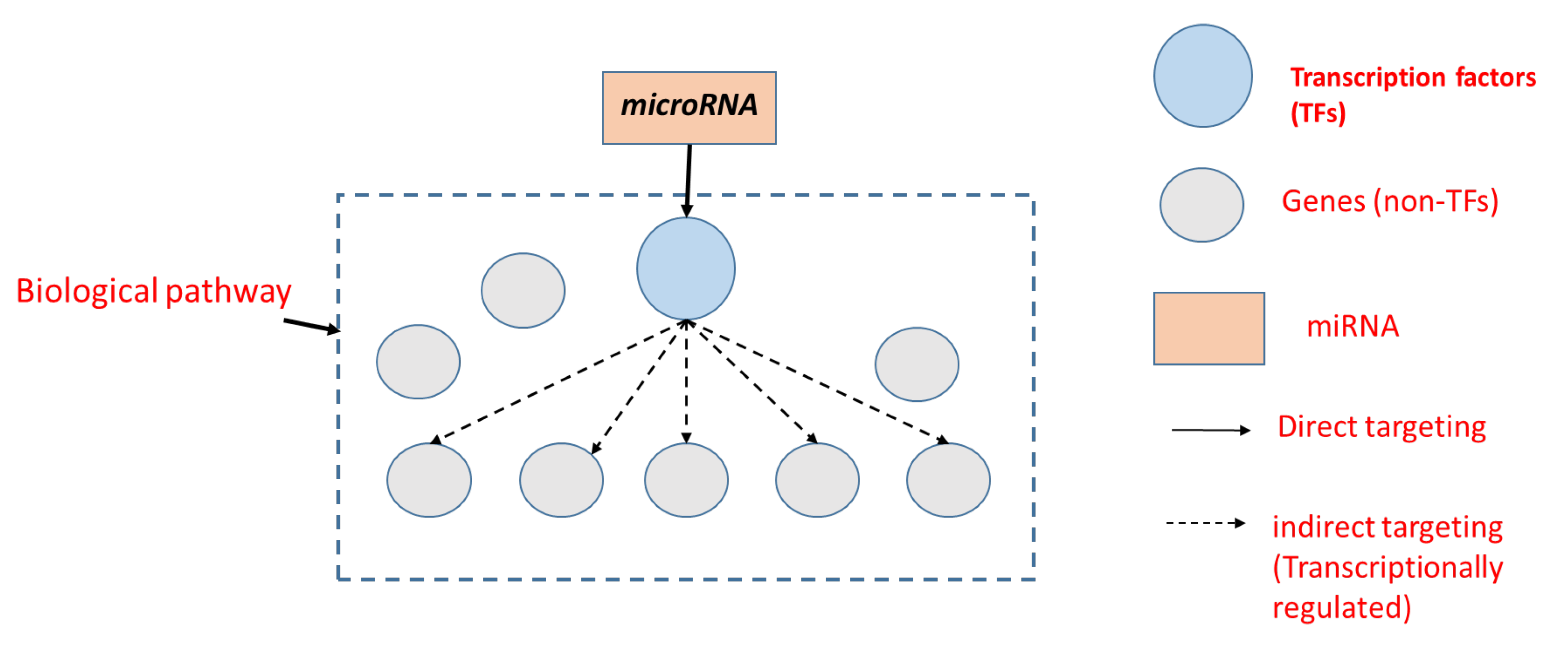 Ncrna 09 00011 g001 Ncrna 09 00011 g001