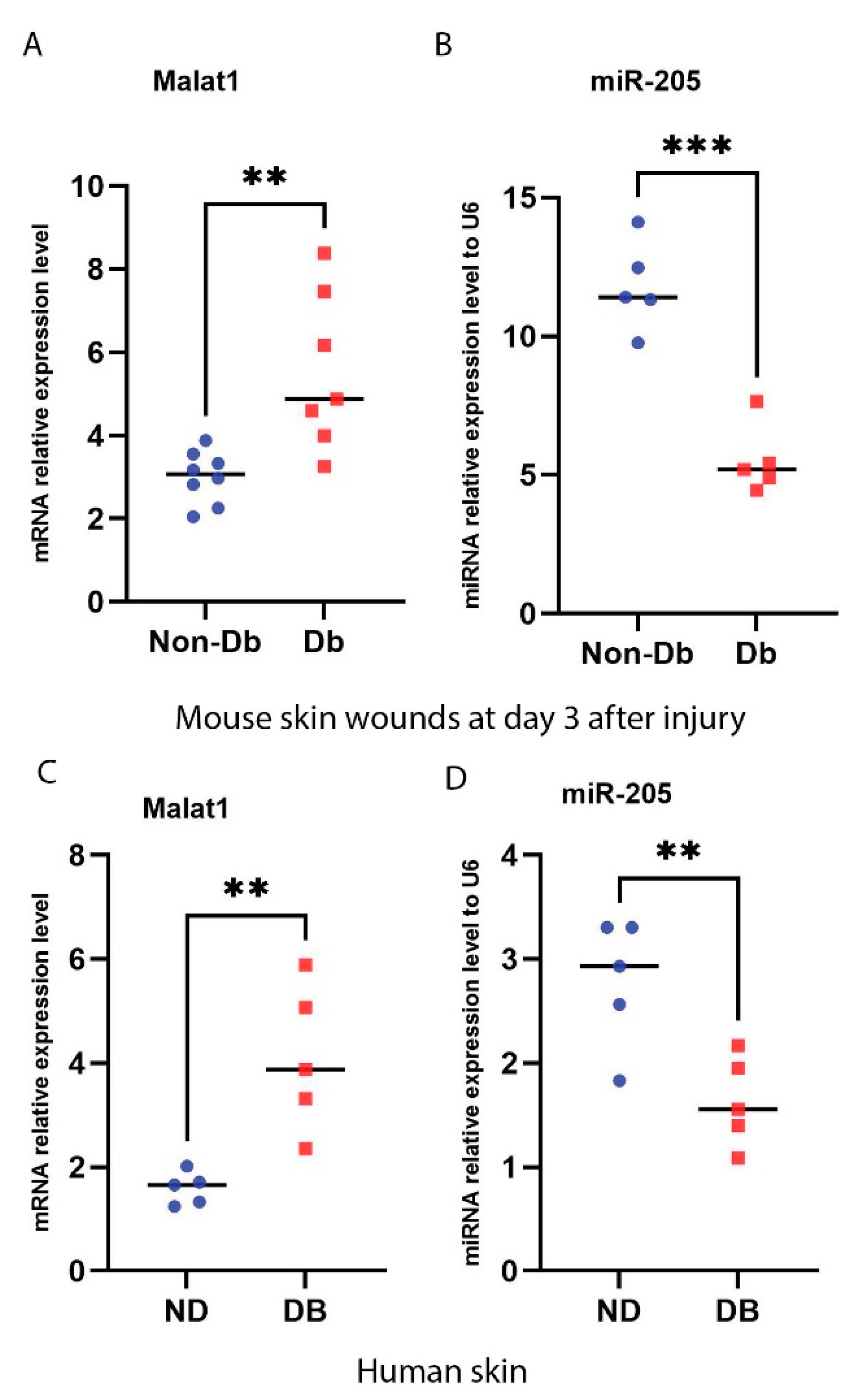 Ncrna 09 00014 g001 550