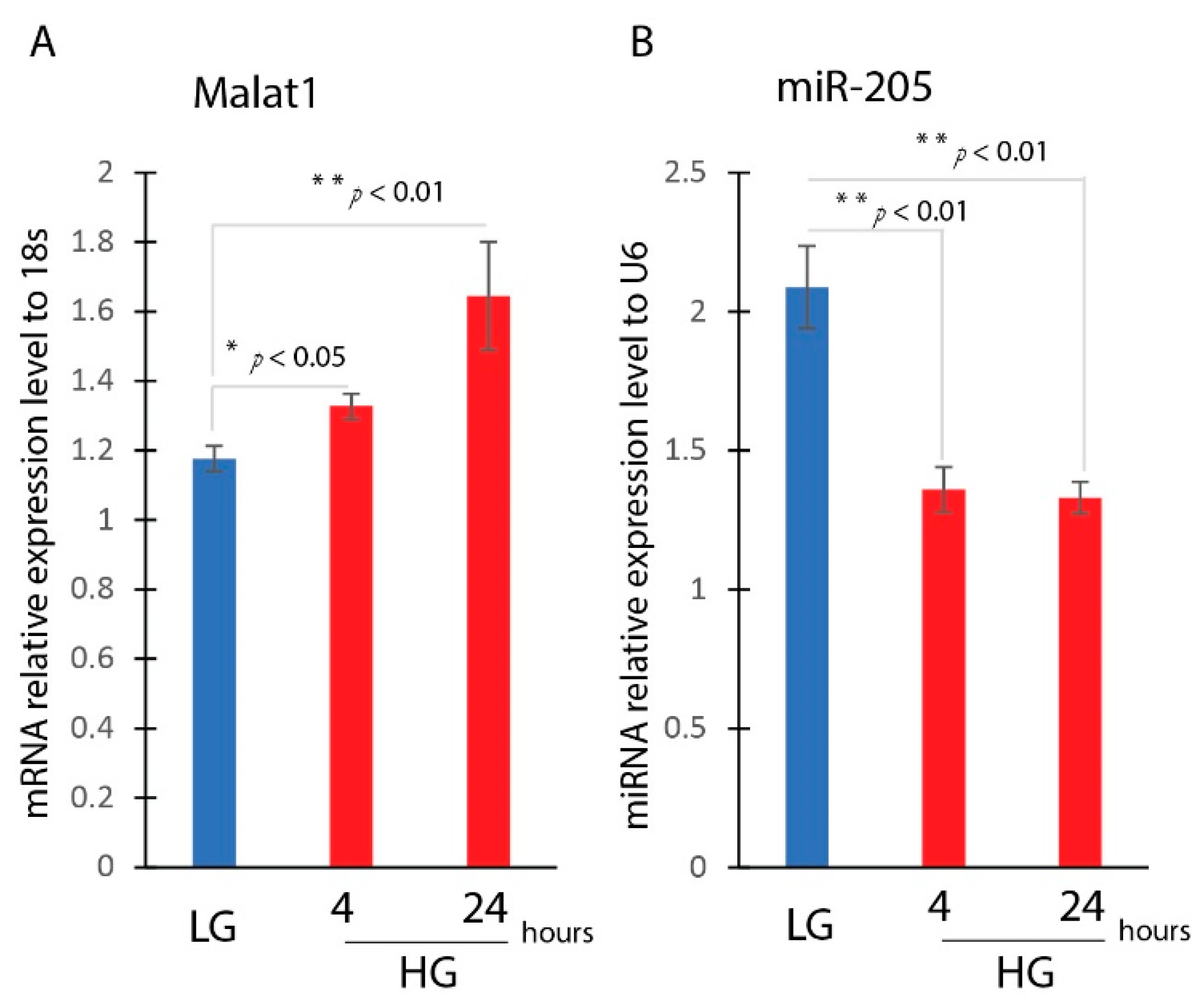 Ncrna 09 00014 g002 550