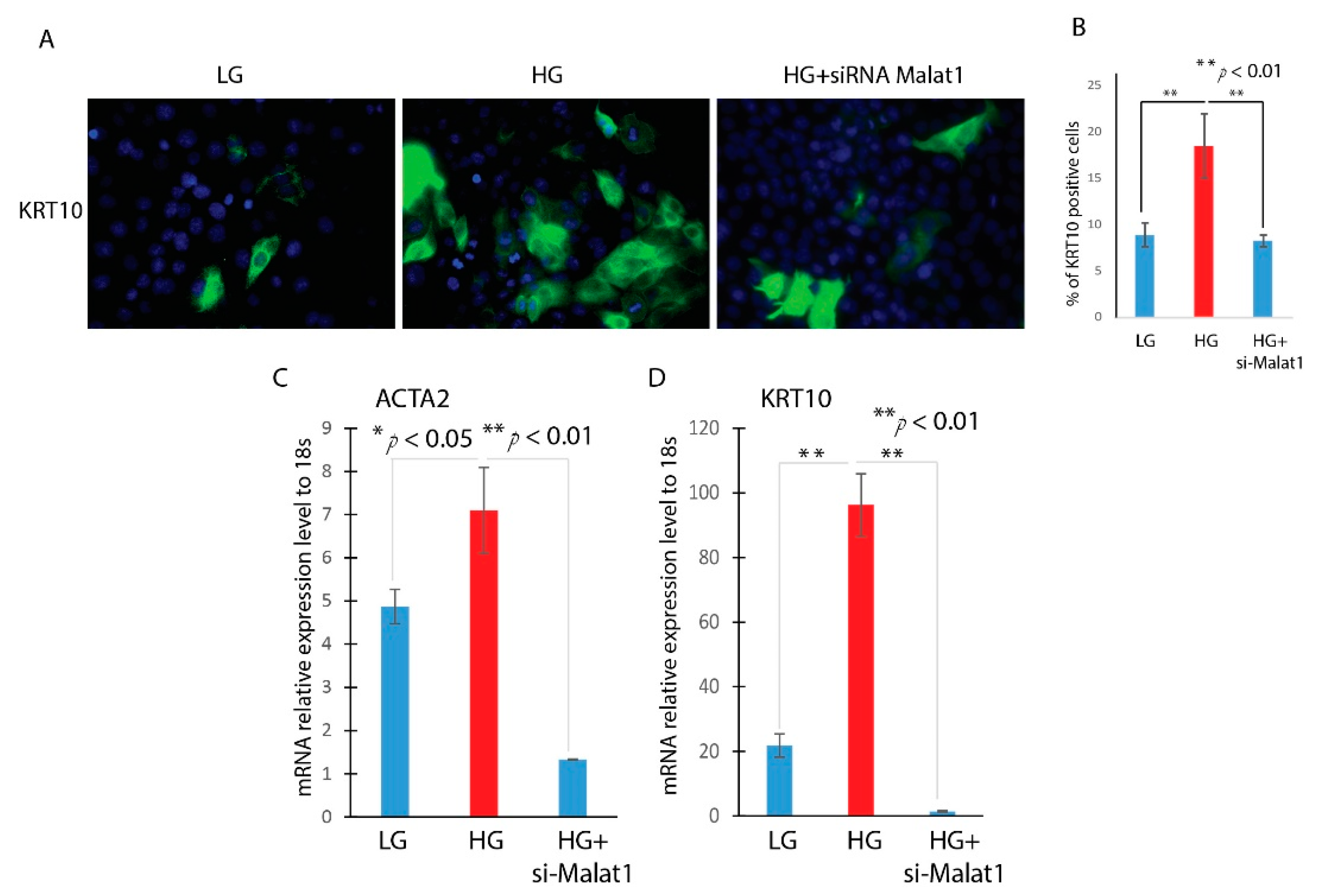 Ncrna 09 00014 g004 550