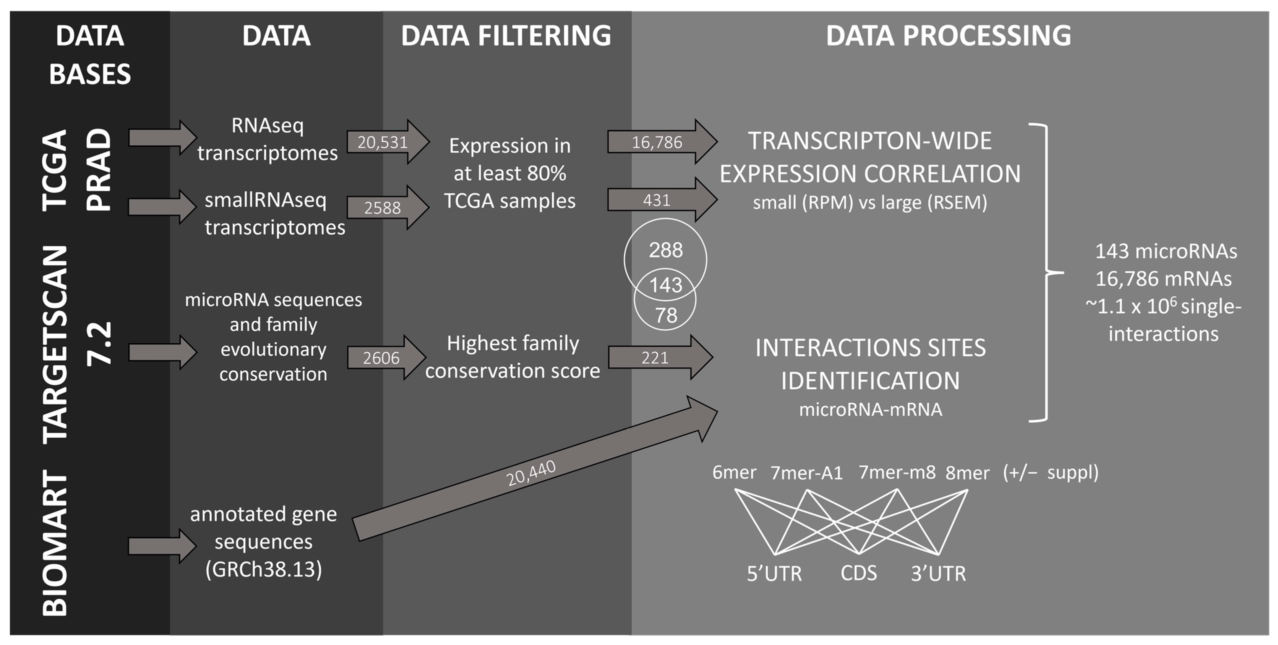 Ncrna 09 00015 g001 Ncrna 09 00015 g001