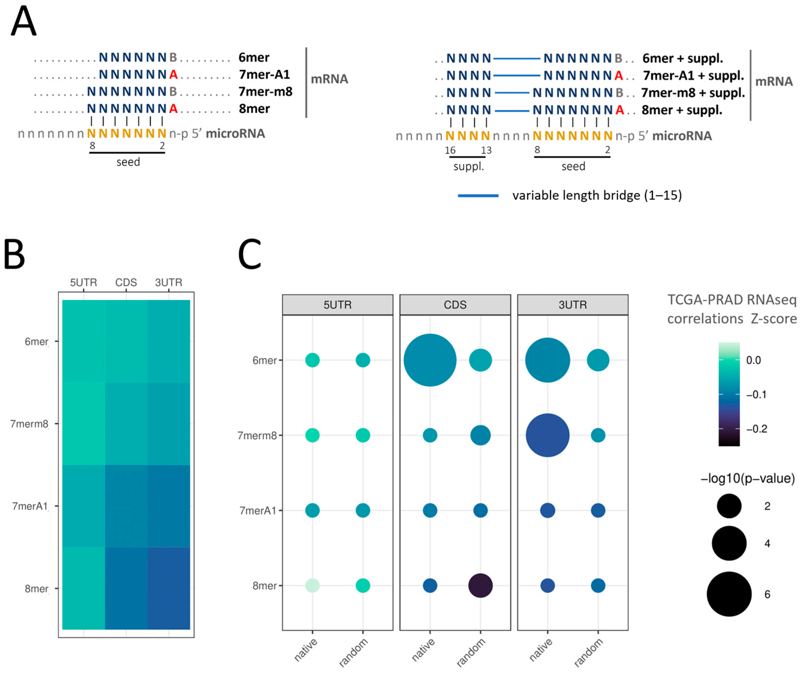 Ncrna 09 00015 g002 Ncrna 09 00015 g002