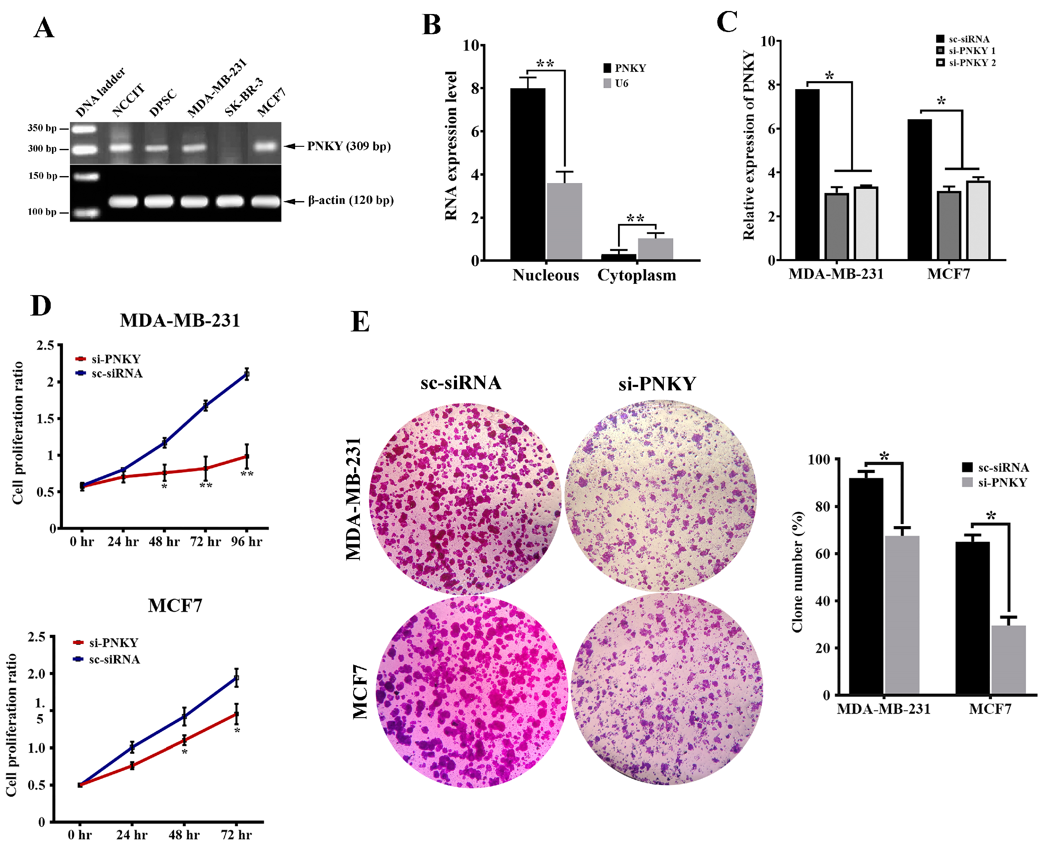 Ncrna 09 00025 g002 Ncrna 09 00025 g002