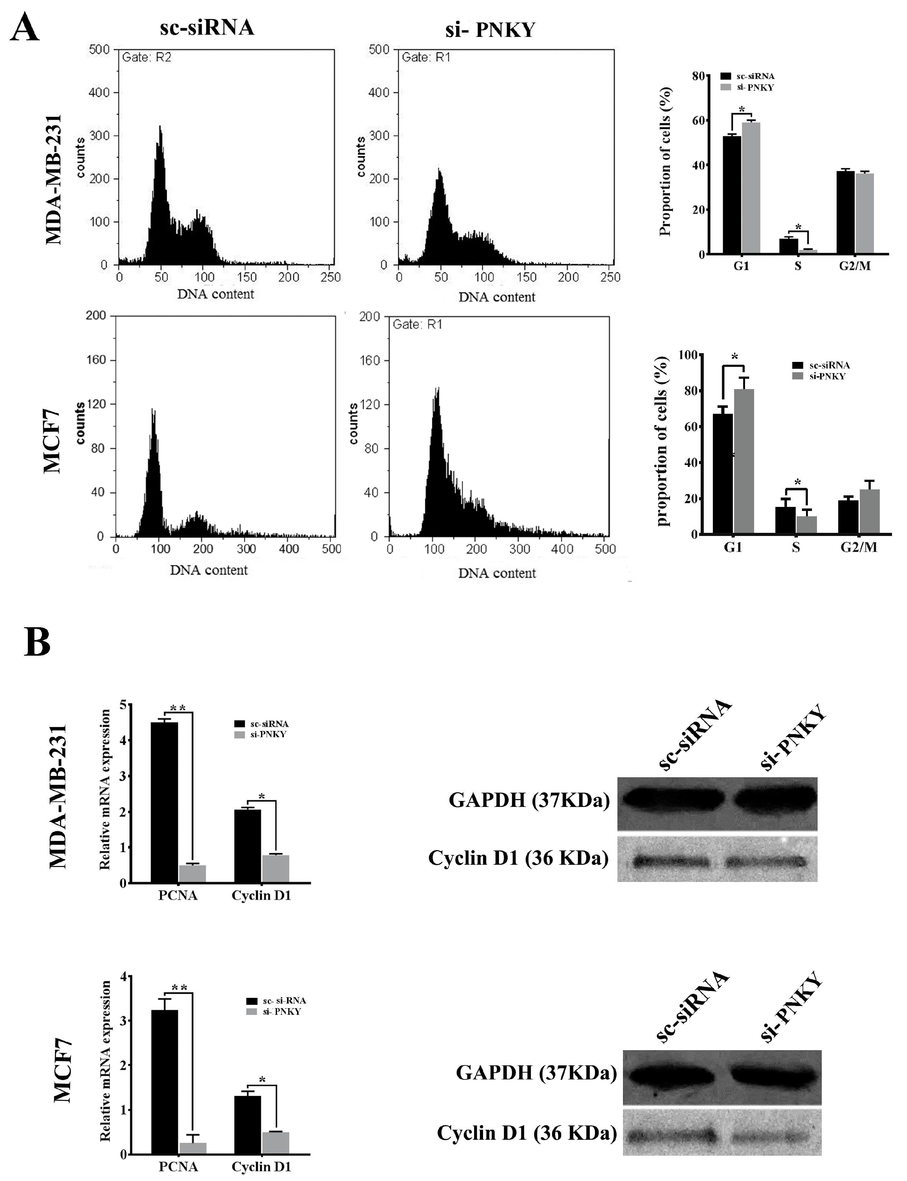 Ncrna 09 00025 g003 Ncrna 09 00025 g003