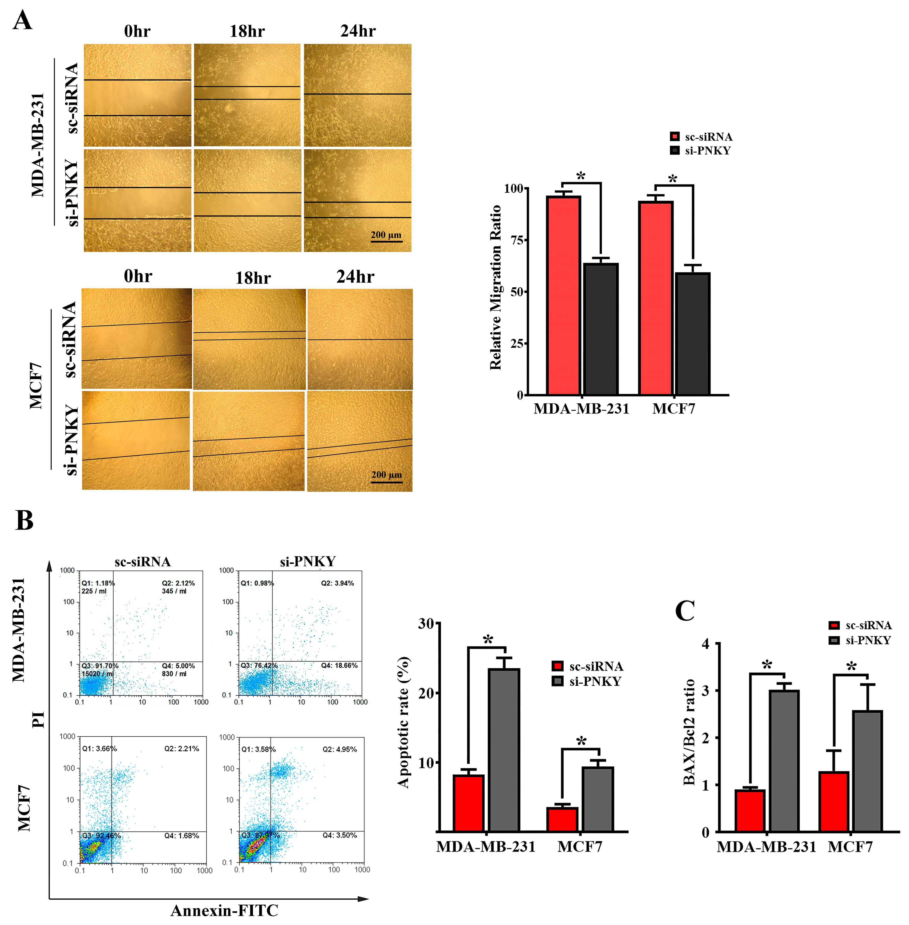 Ncrna 09 00025 g004 Ncrna 09 00025 g004
