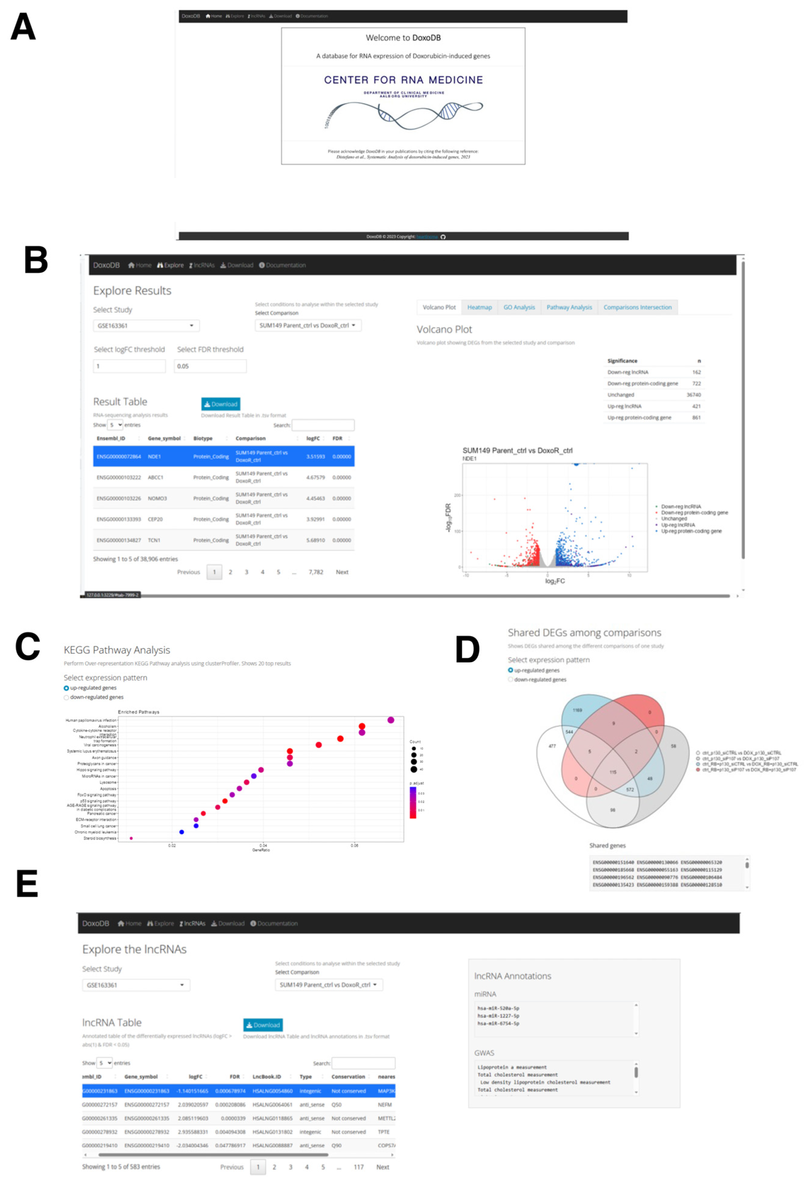 Ncrna 09 00039 g007 Ncrna 09 00039 g007
