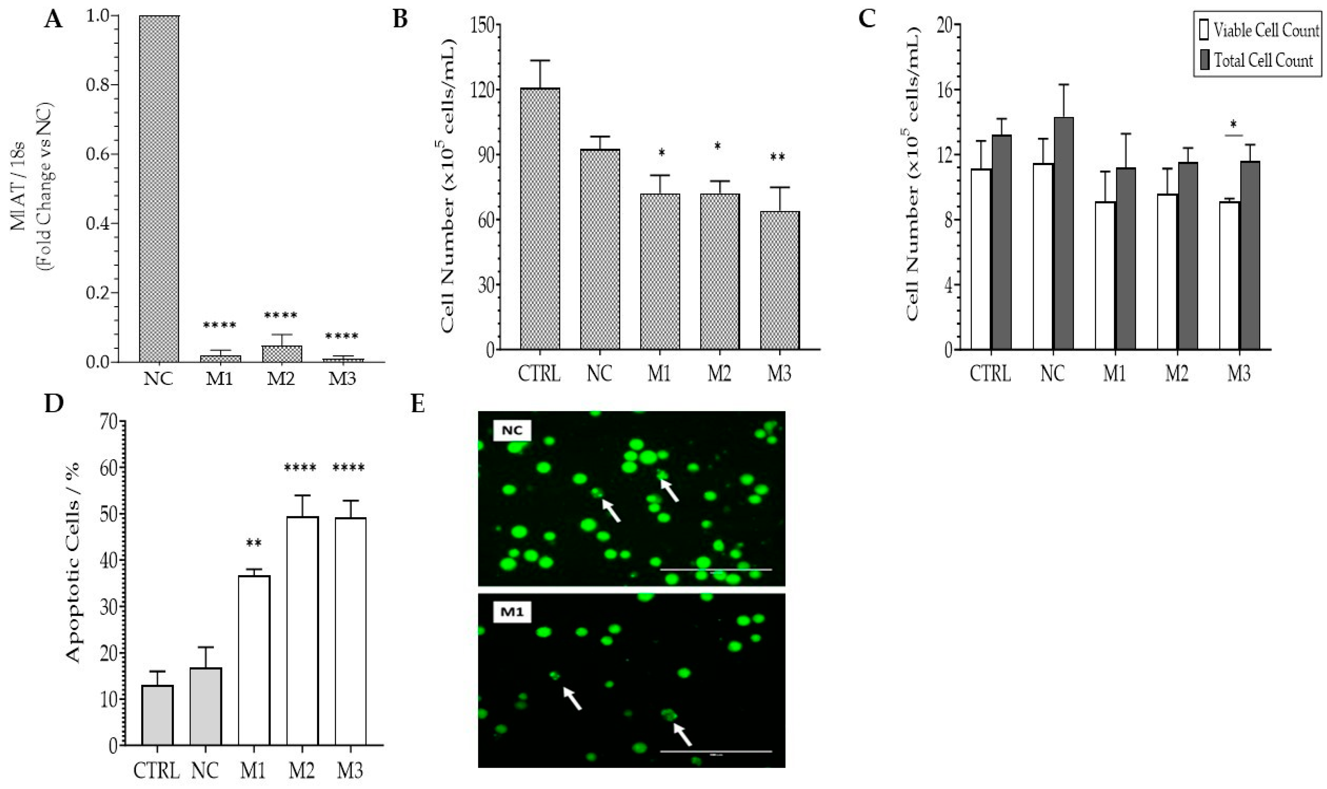 Ncrna 09 00047 g002 Ncrna 09 00047 g002