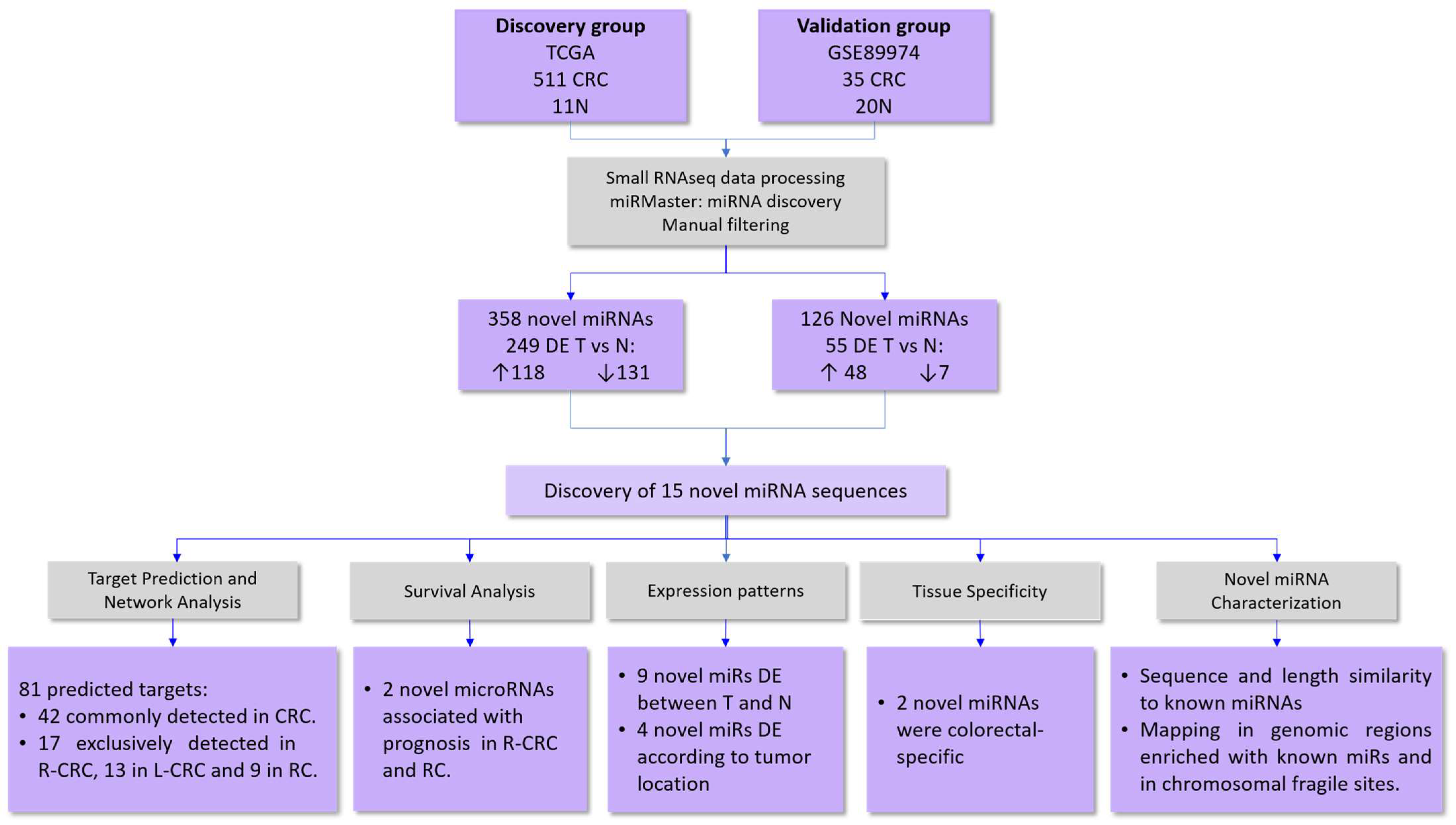 Ncrna 09 00065 g001 Ncrna 09 00065 g001