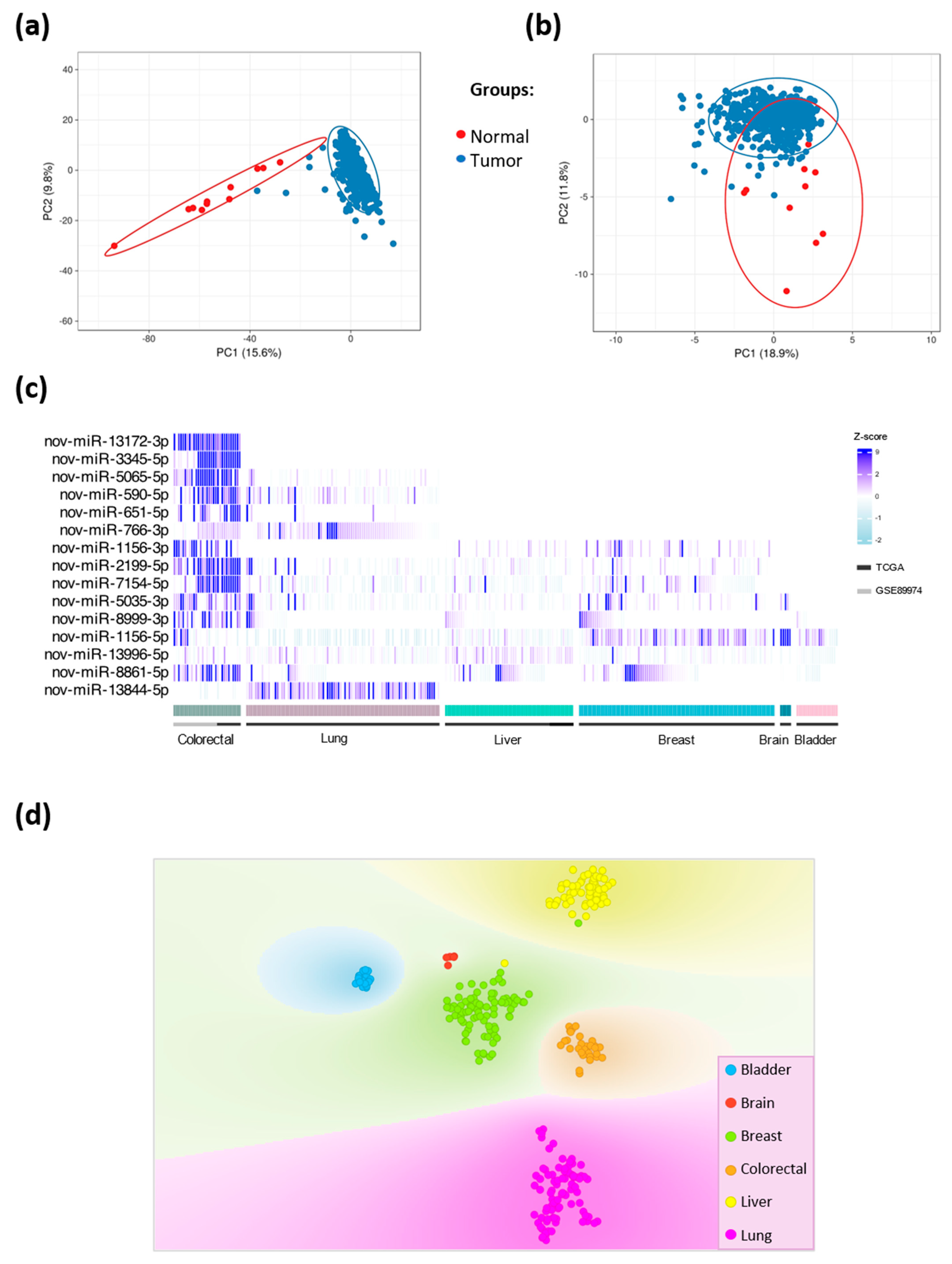 Ncrna 09 00065 g002 Ncrna 09 00065 g002