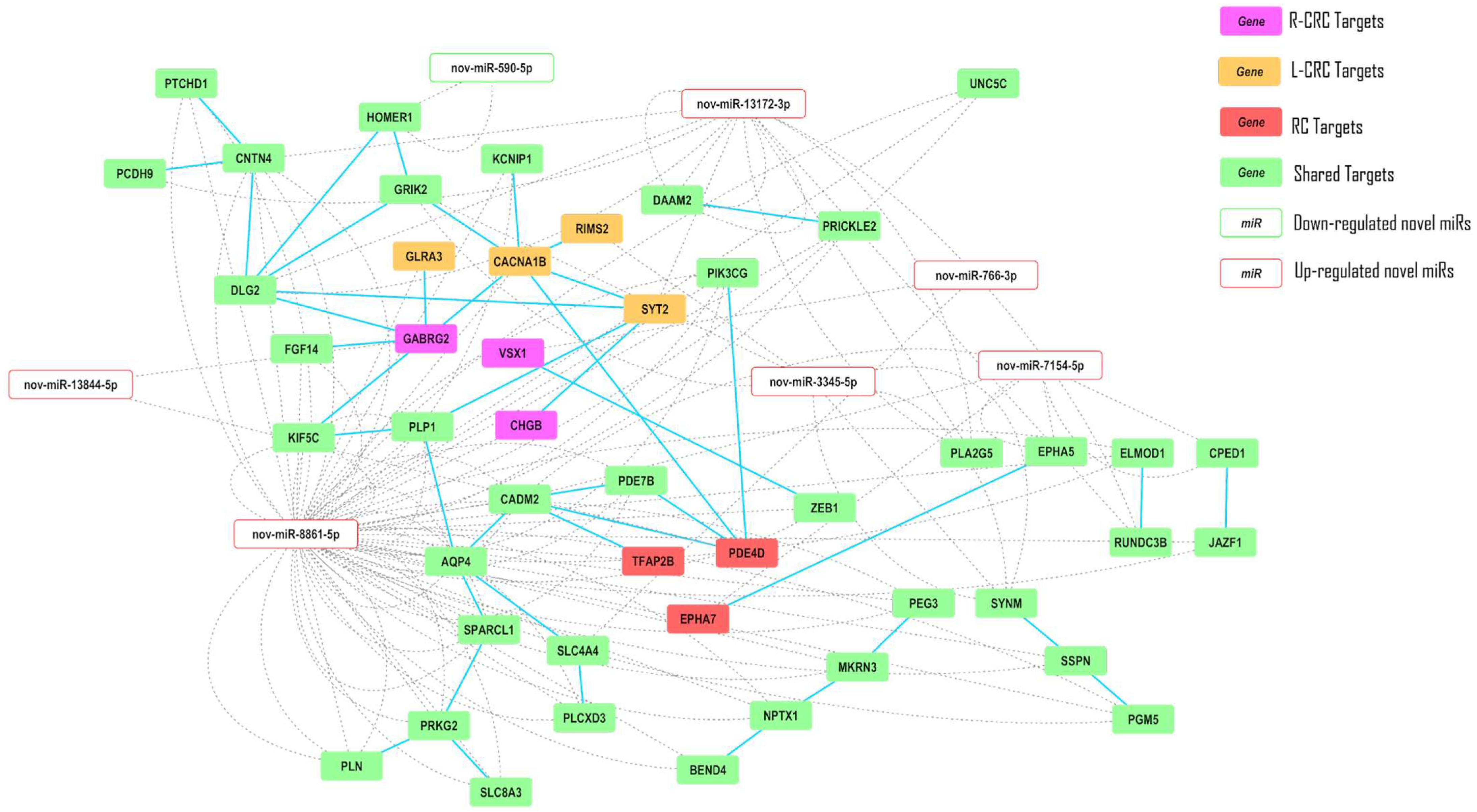 Ncrna 09 00065 g006 Ncrna 09 00065 g006