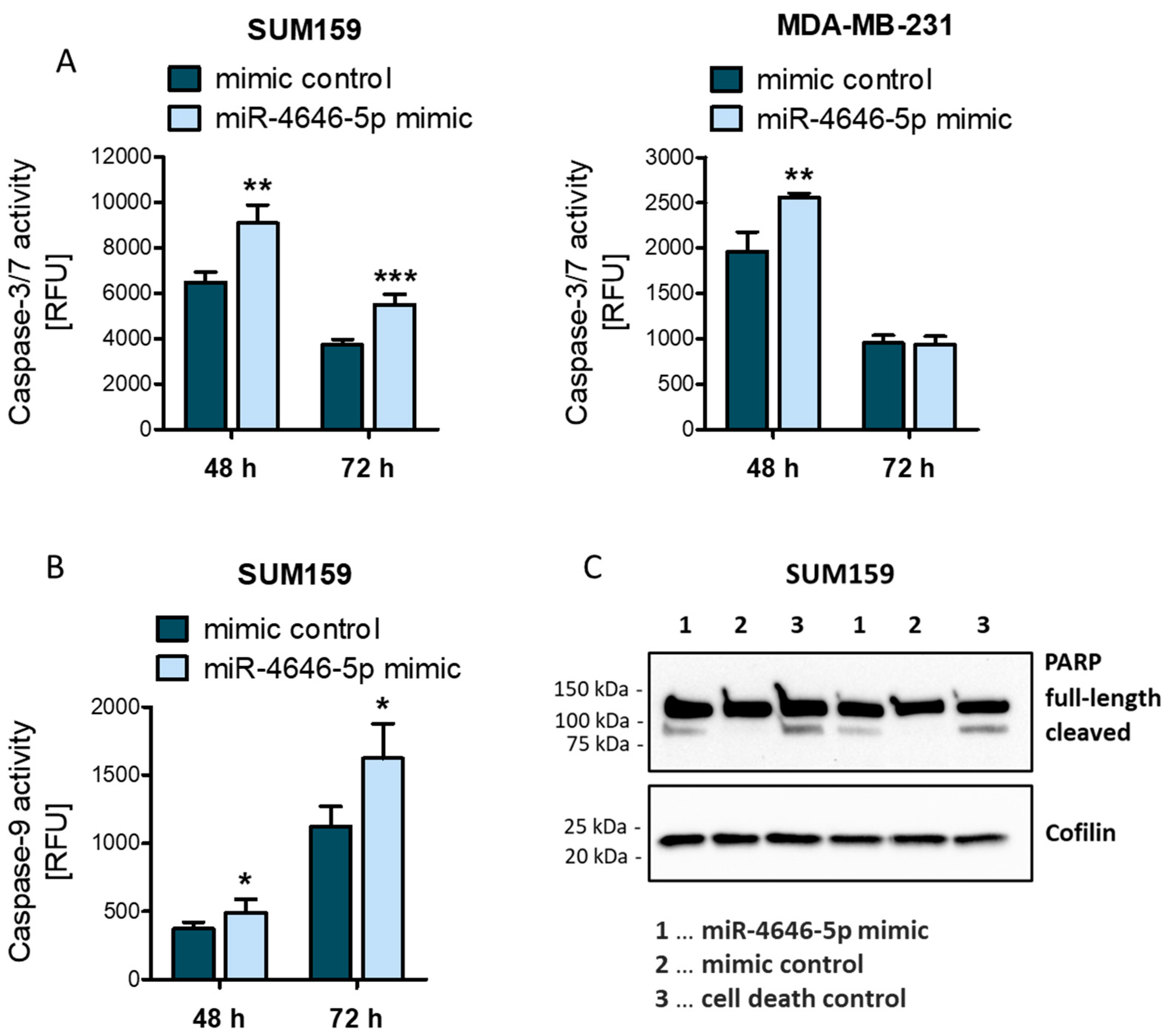 Ncrna 10 00002 g002 Ncrna 10 00002 g002