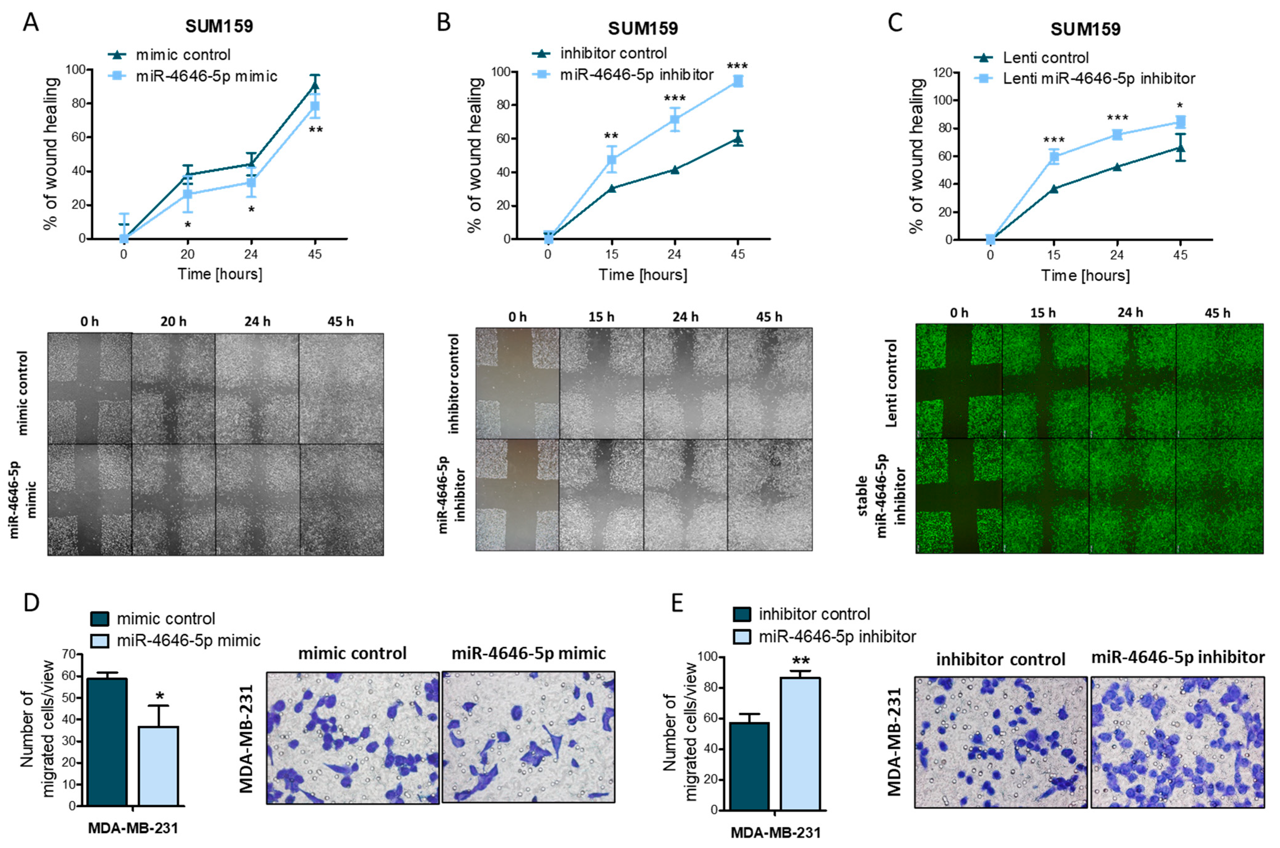 Ncrna 10 00002 g003 Ncrna 10 00002 g003